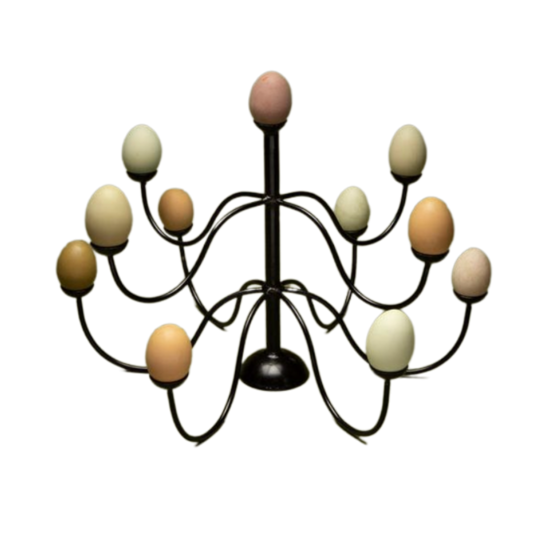 Egg Chandelier by Gohar World