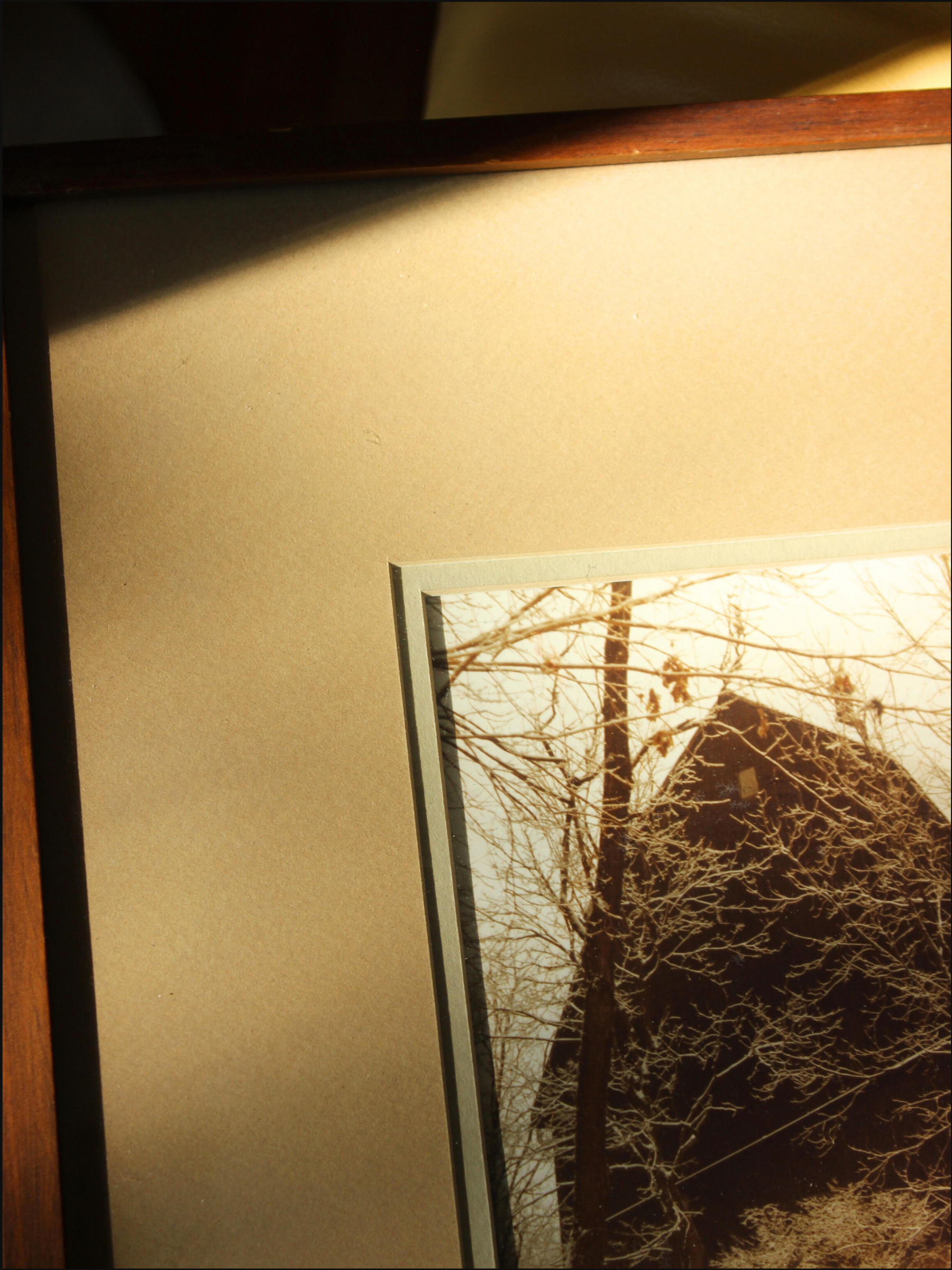 farm frame cover (6).png