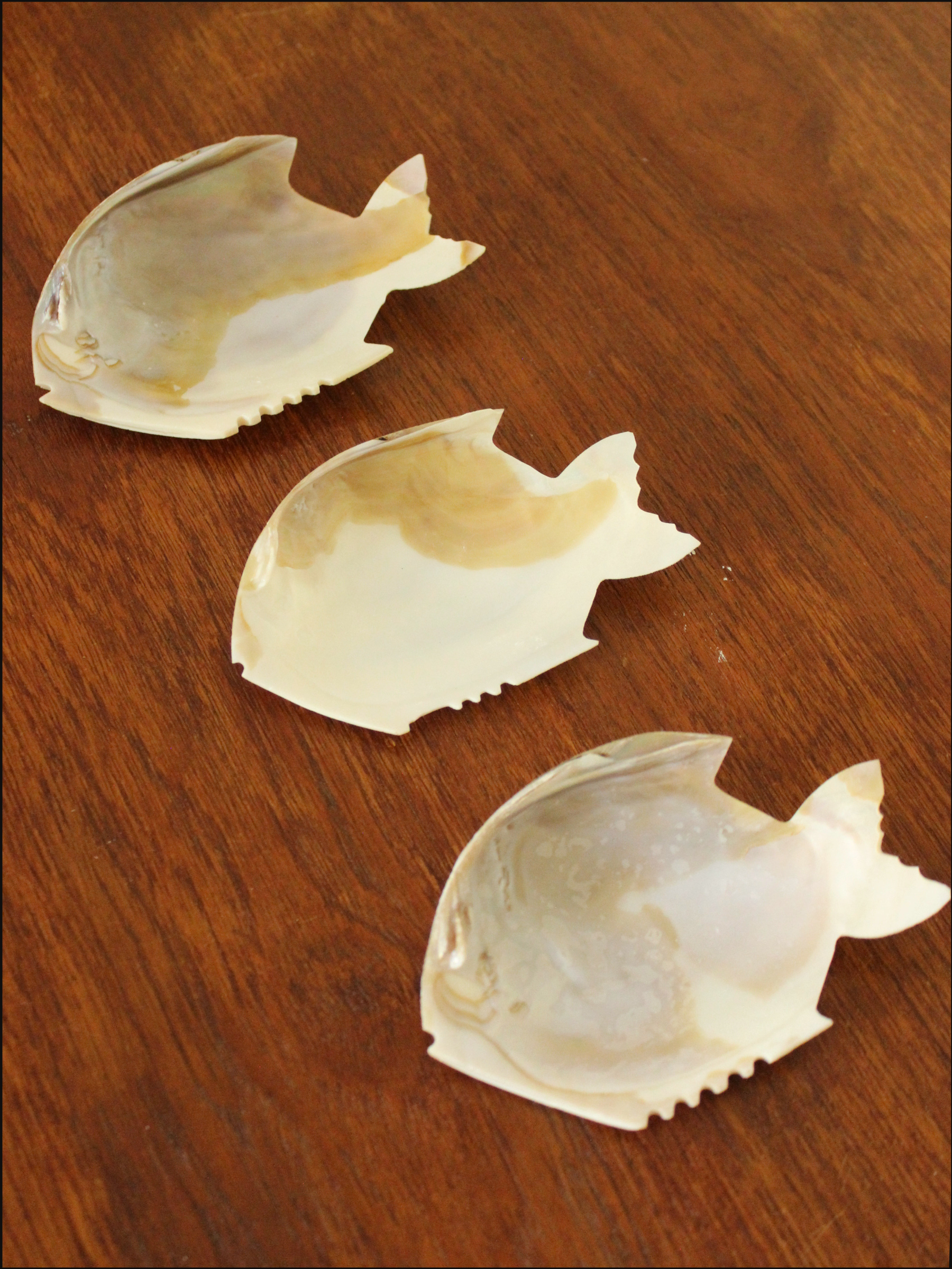 shell fish dish cover (5).png