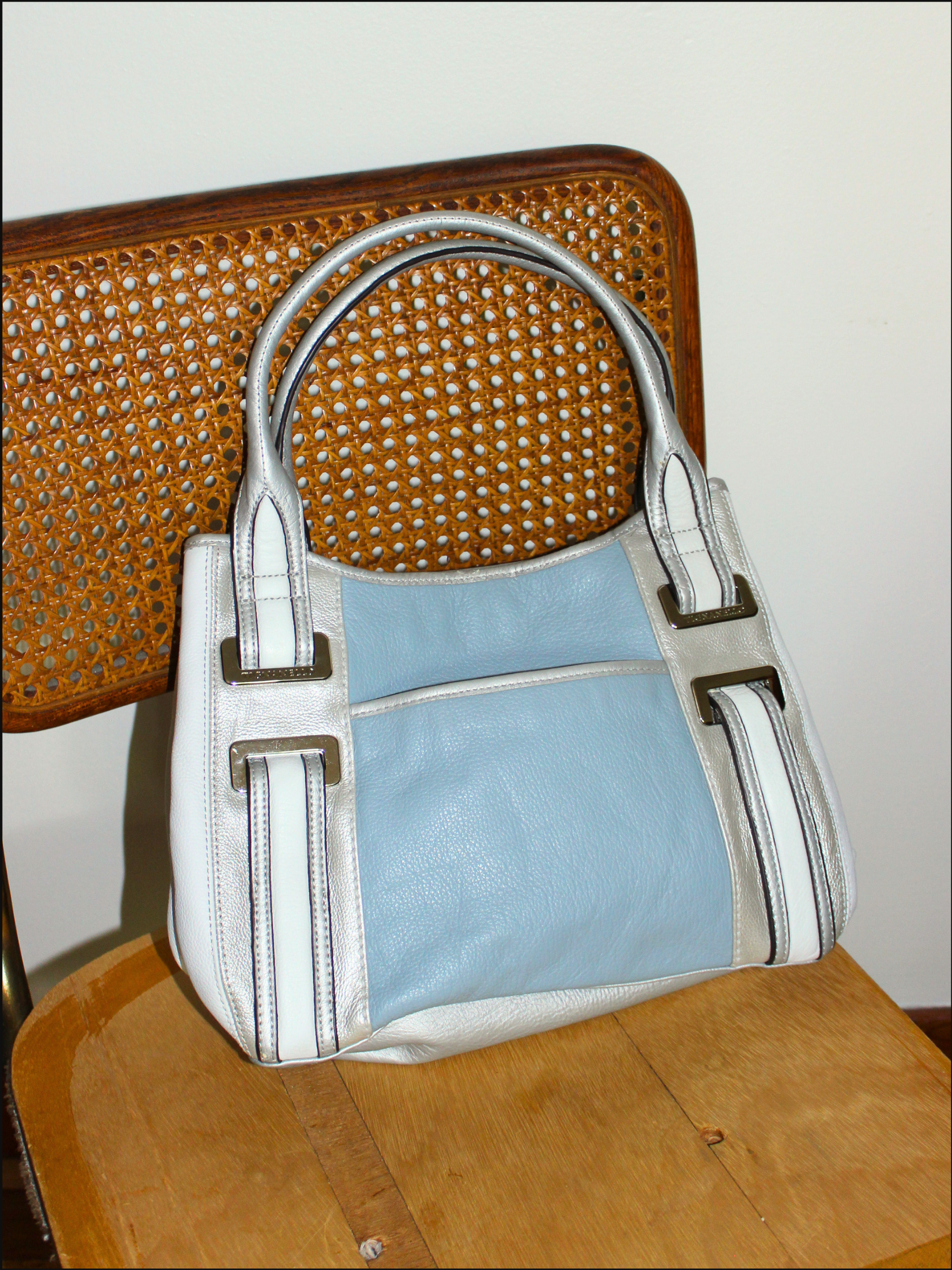 blue silver bag cover (5).png