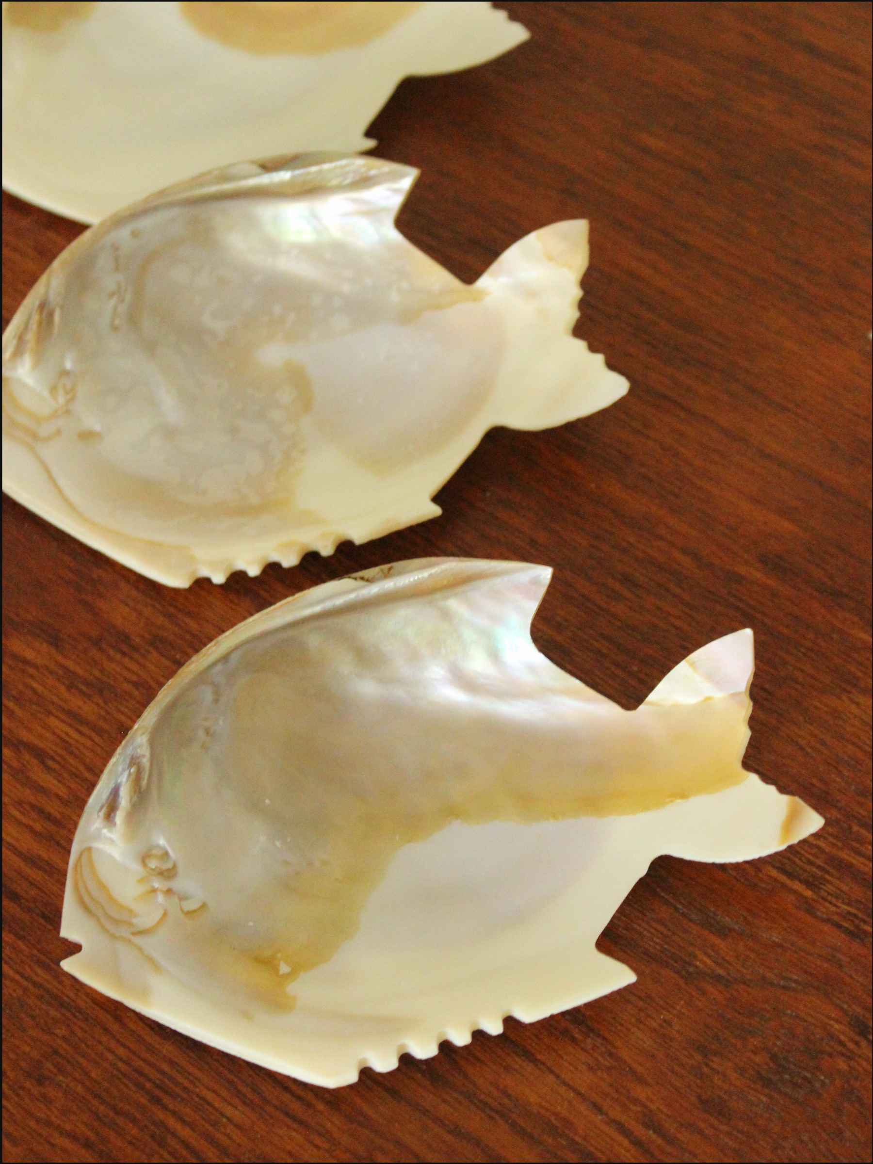 shell fish dish cover (4).png