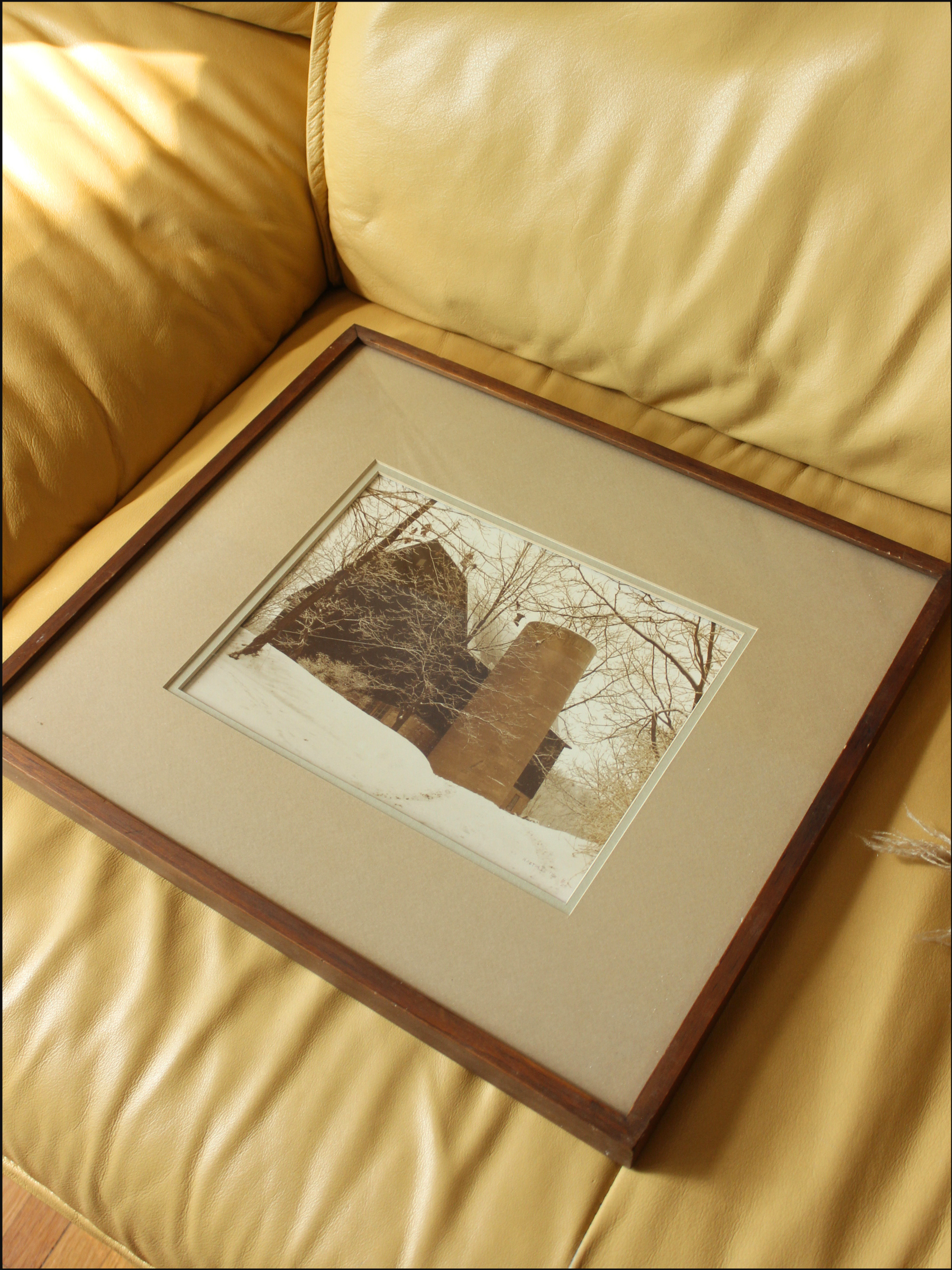 farm frame cover (5).png