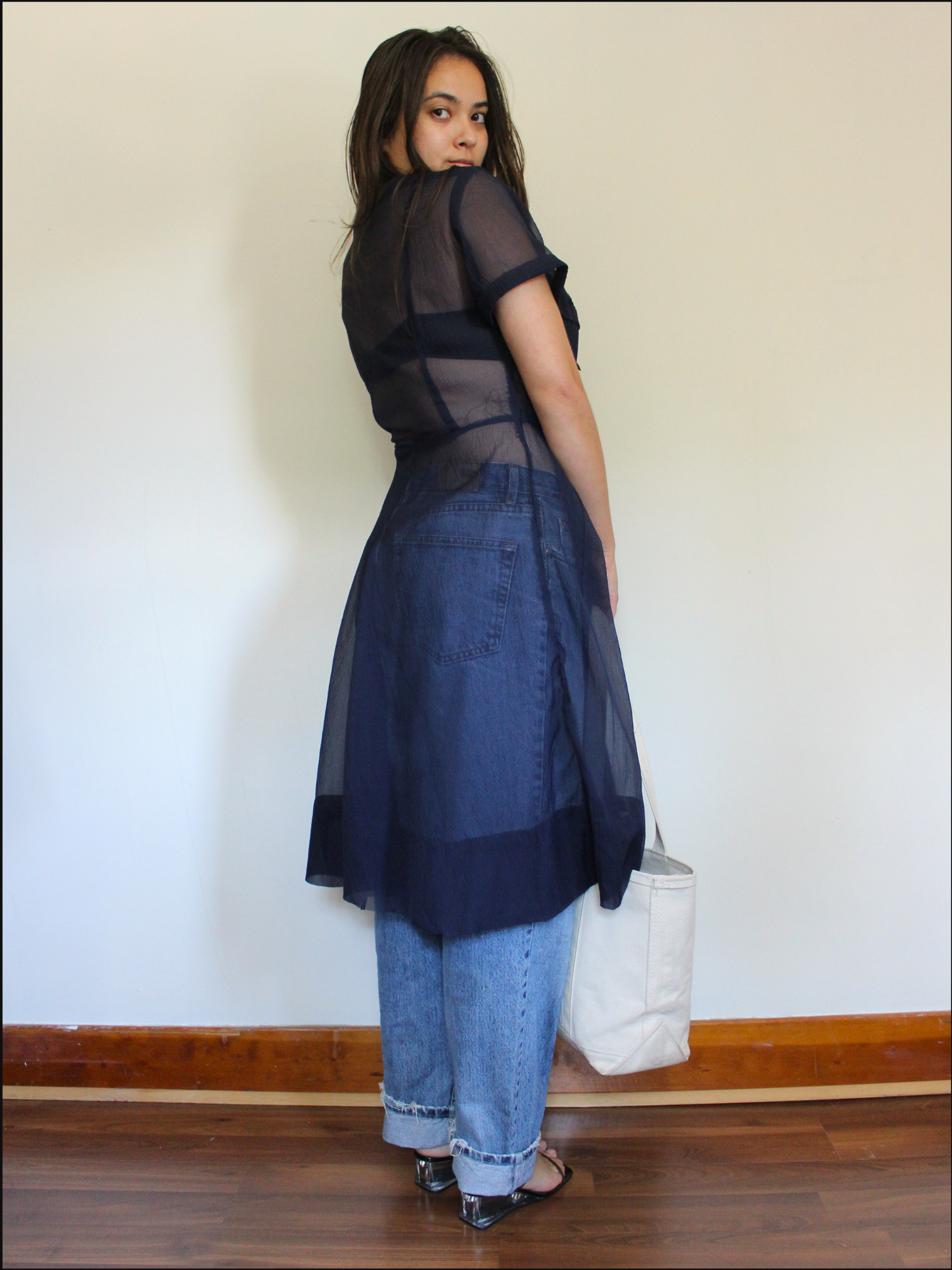 sheer dress cover (5).png