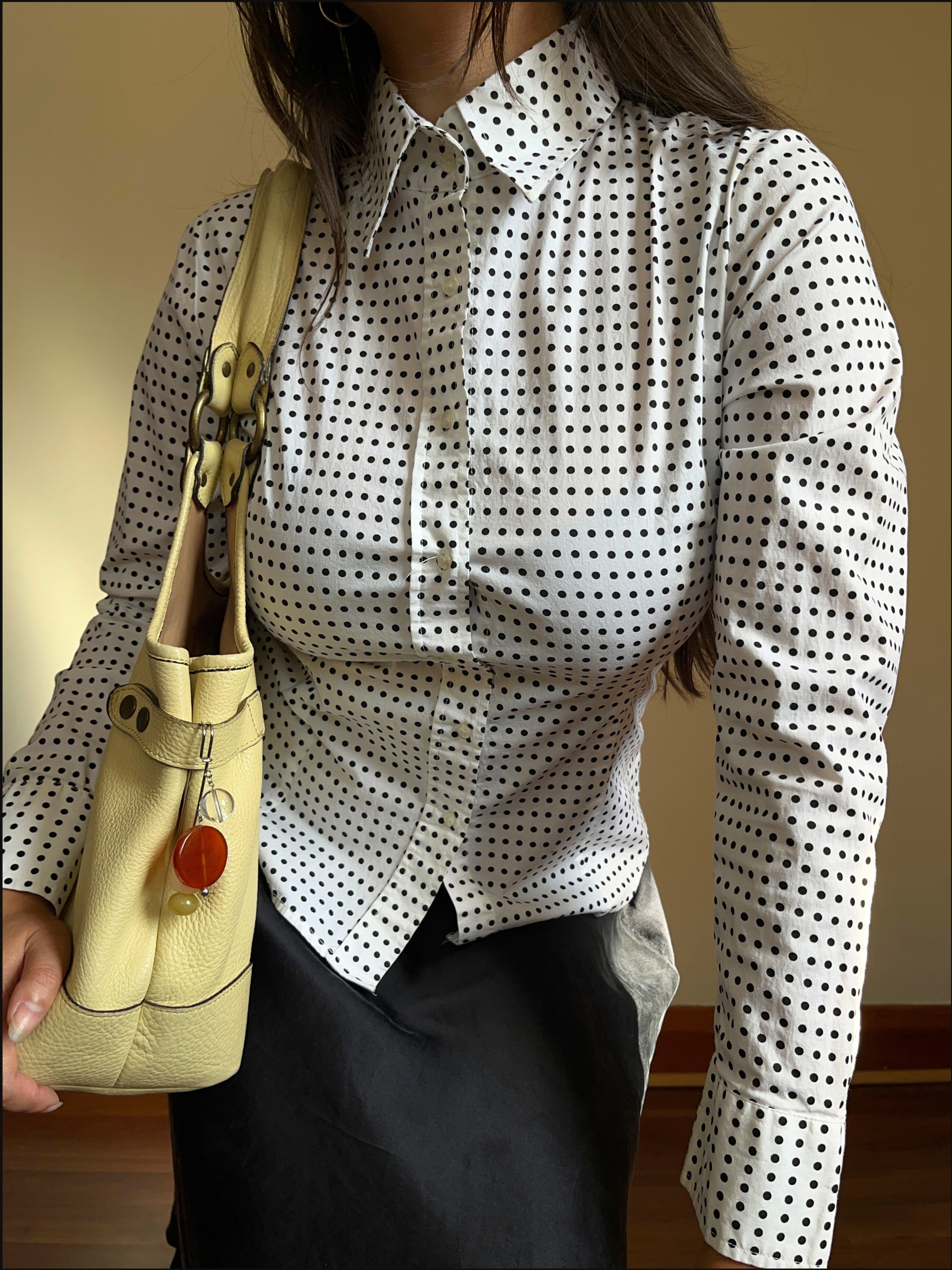 polka dot shirt cover (14).png