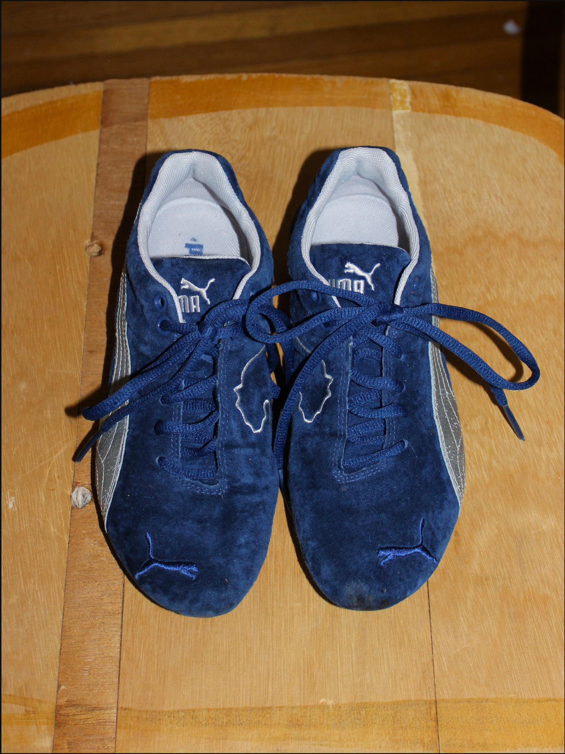 blue pumas cover (7).png