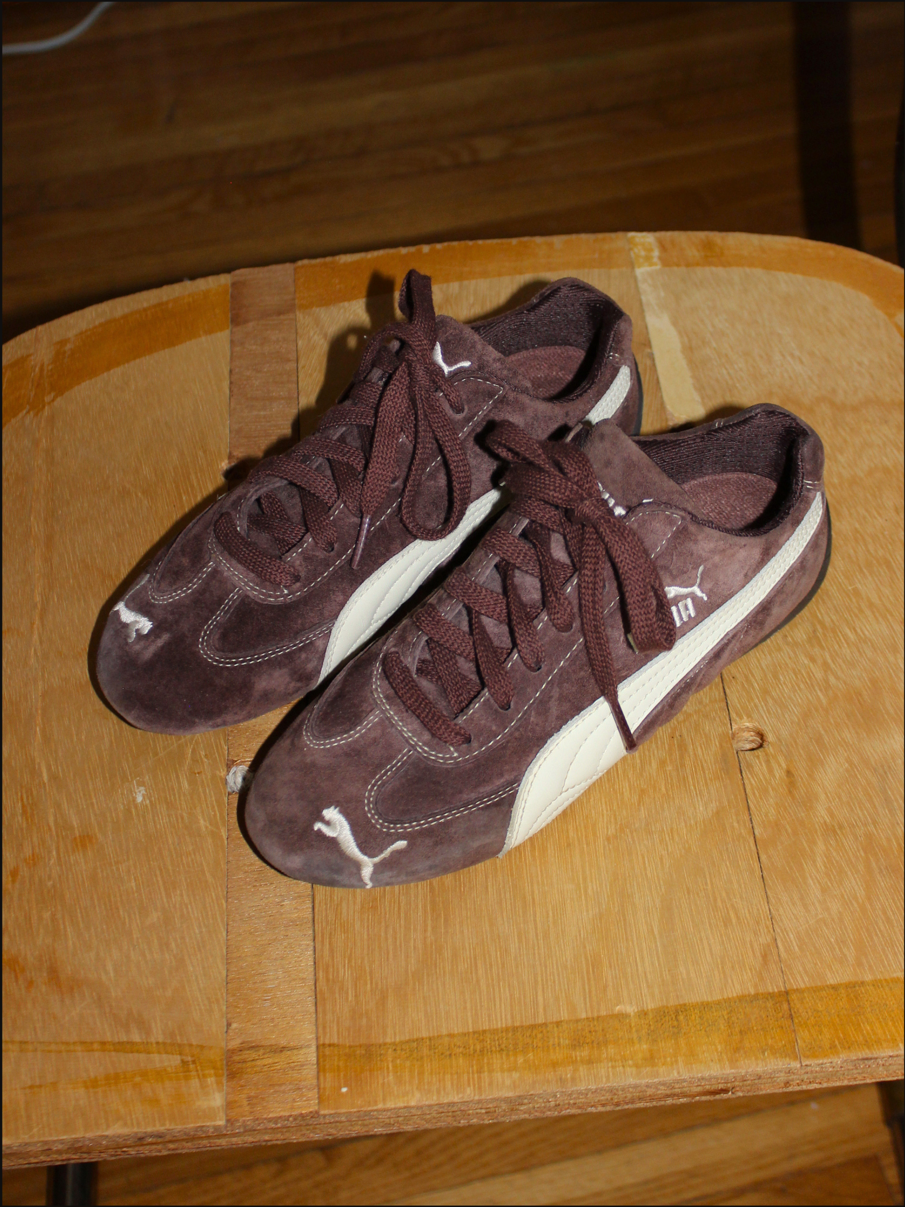 brown pumas cover (8).png