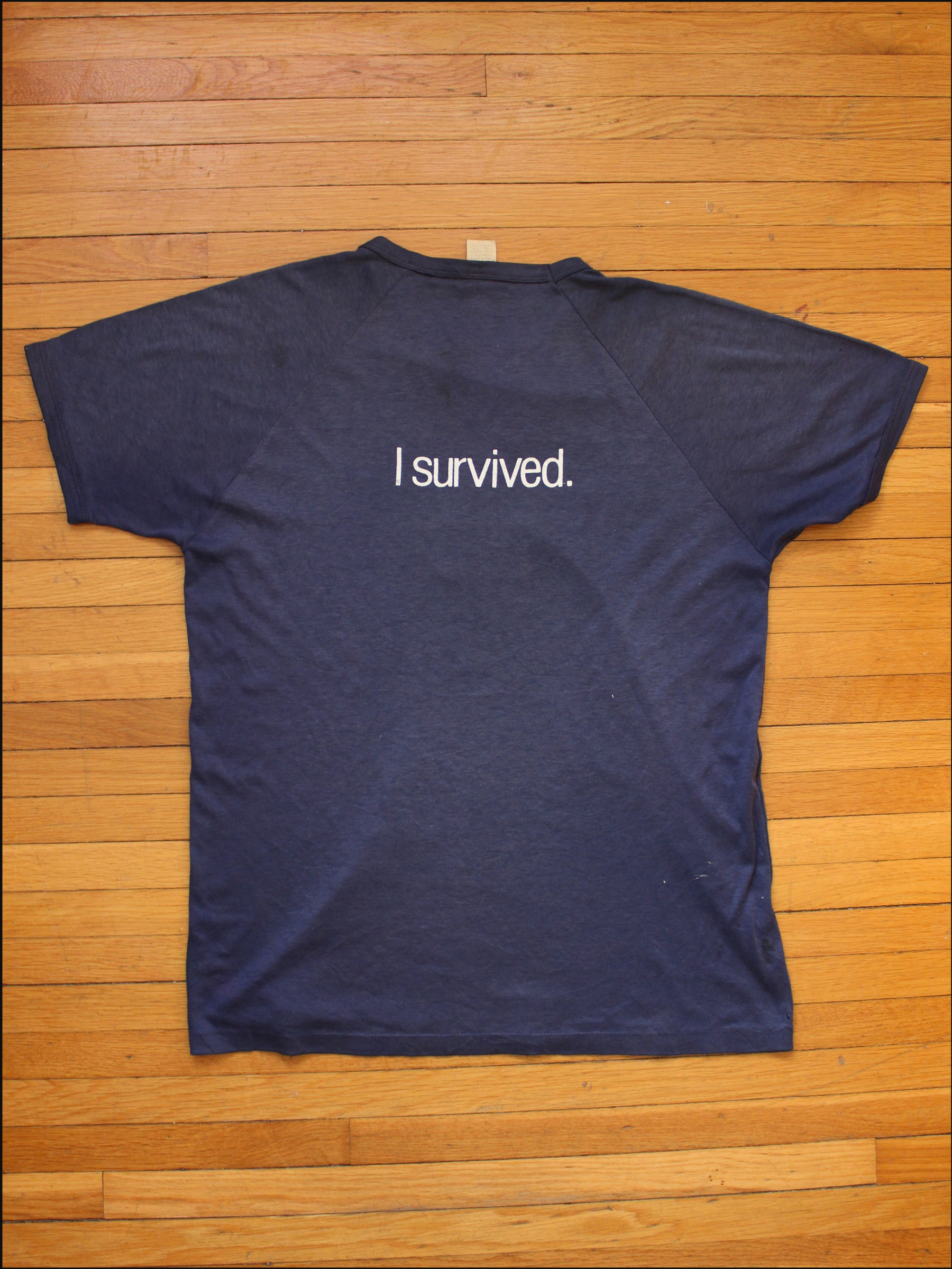 got wrecked tee cover (3).png