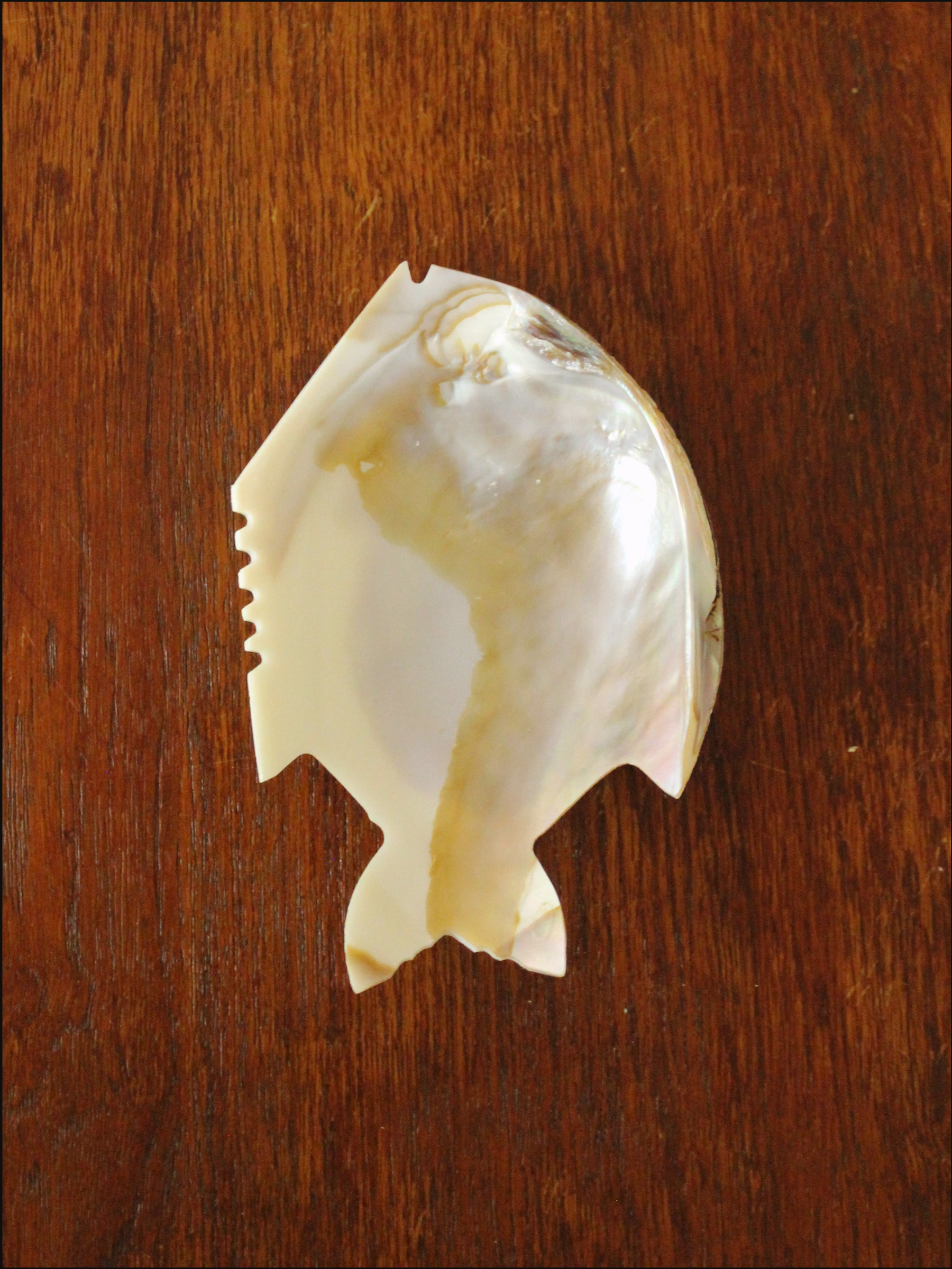 shell fish dish cover (3).png