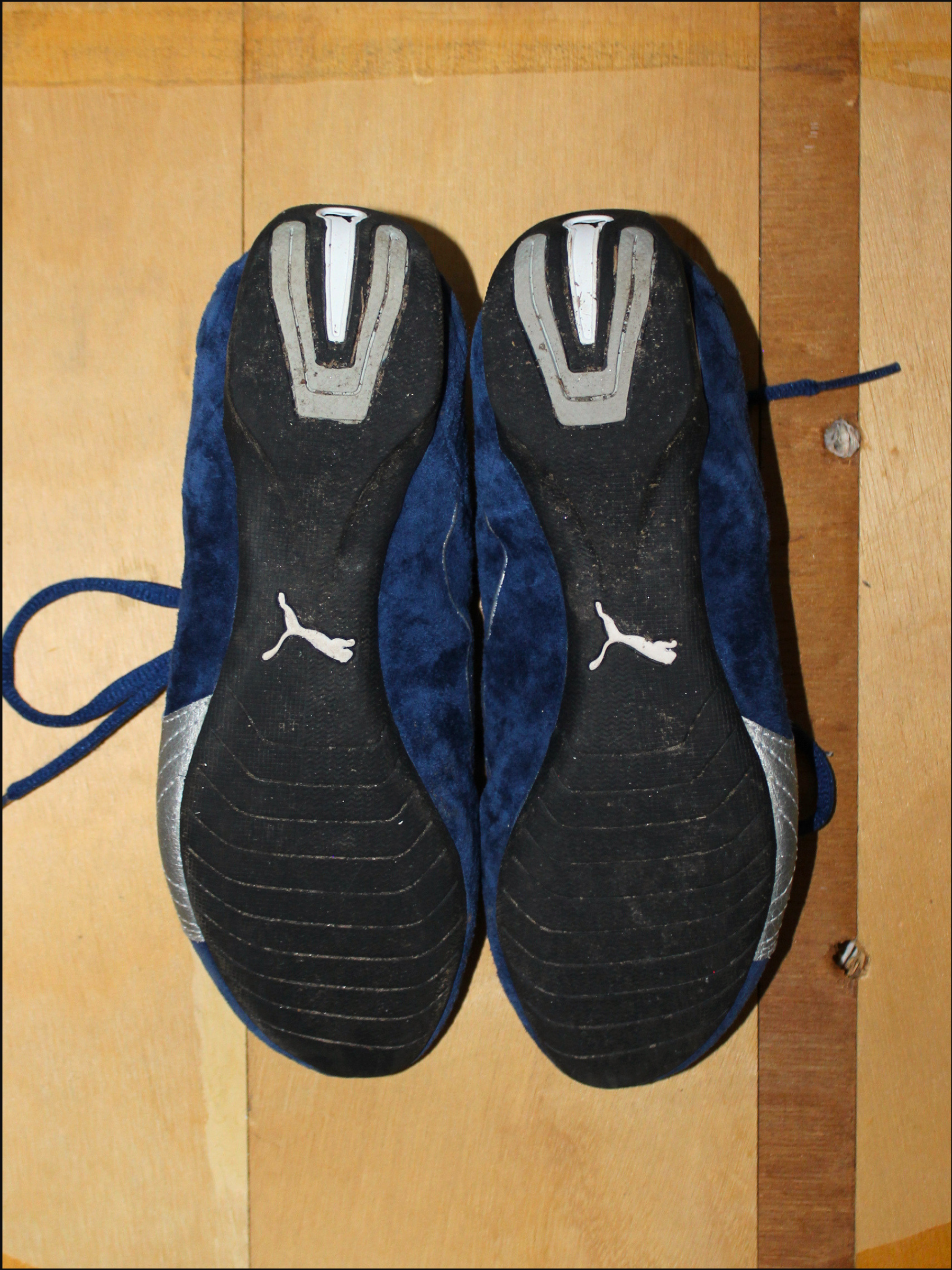 blue pumas cover (3).png