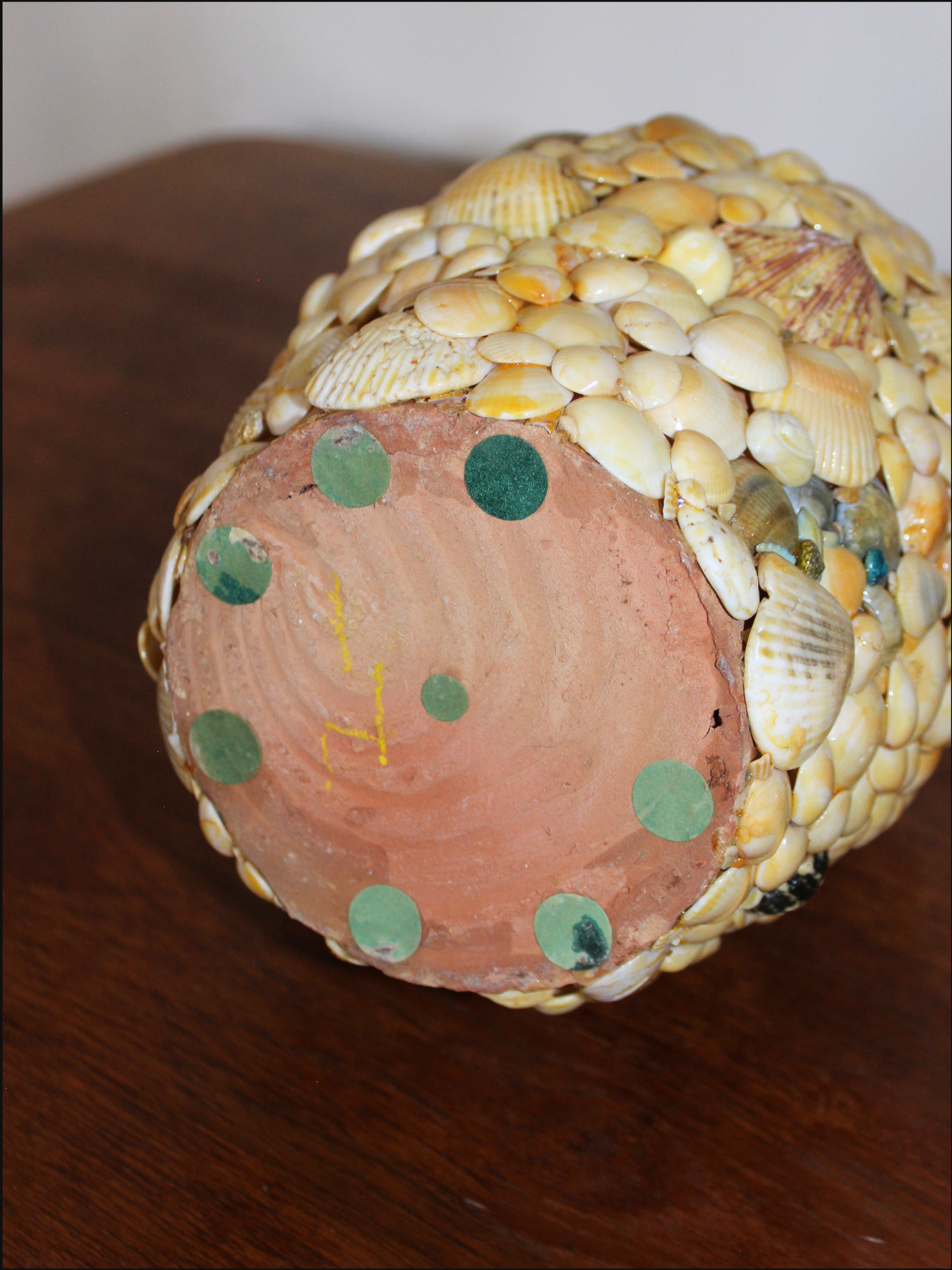 shell vase cover.png