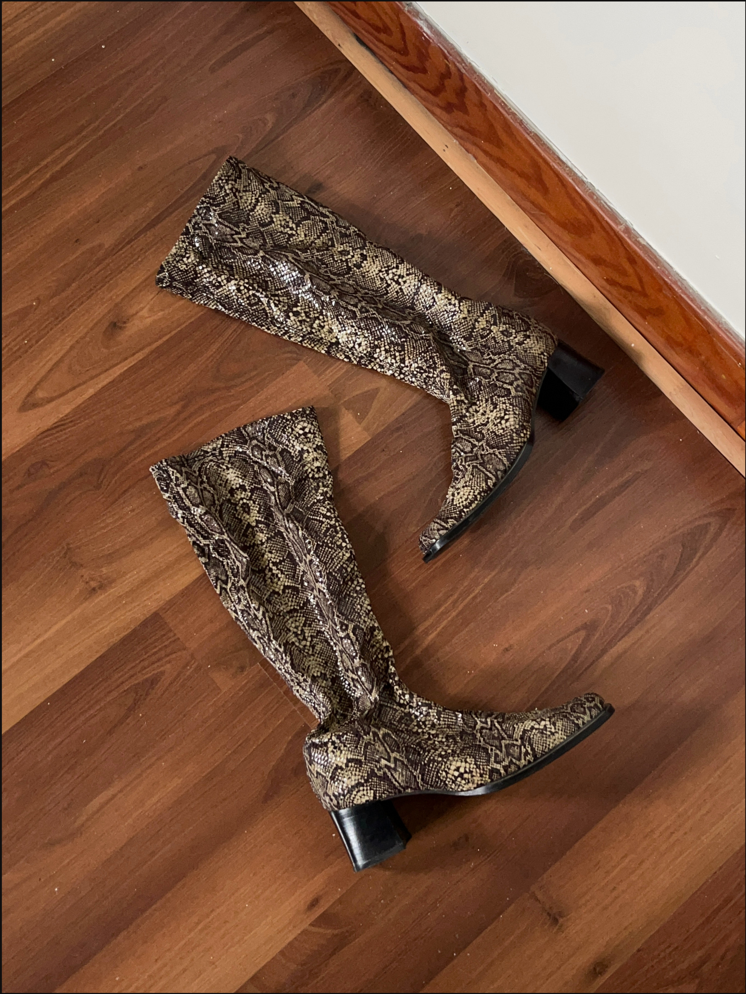 snake boots cover (18).png