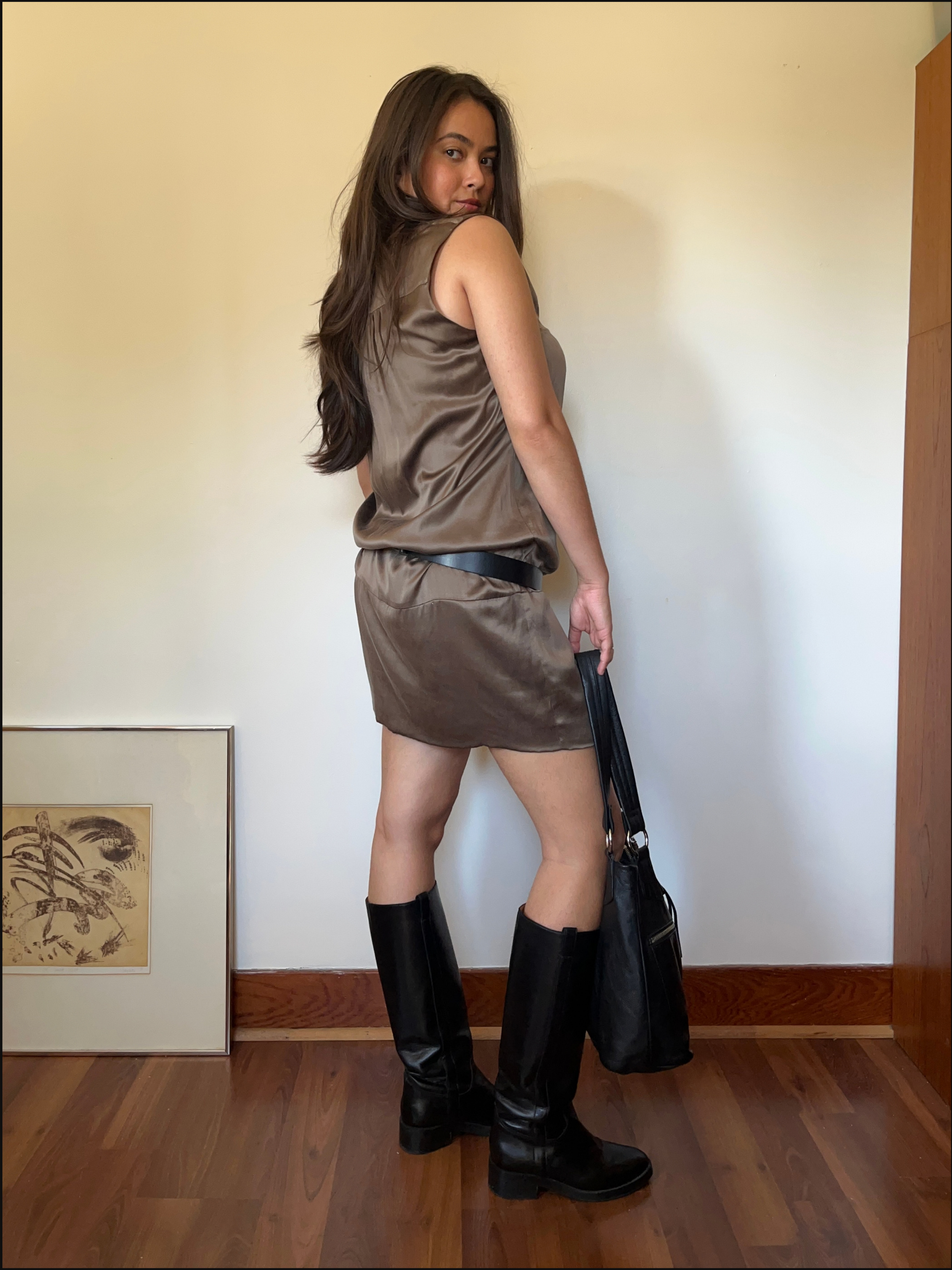 silk dress cover (2).png