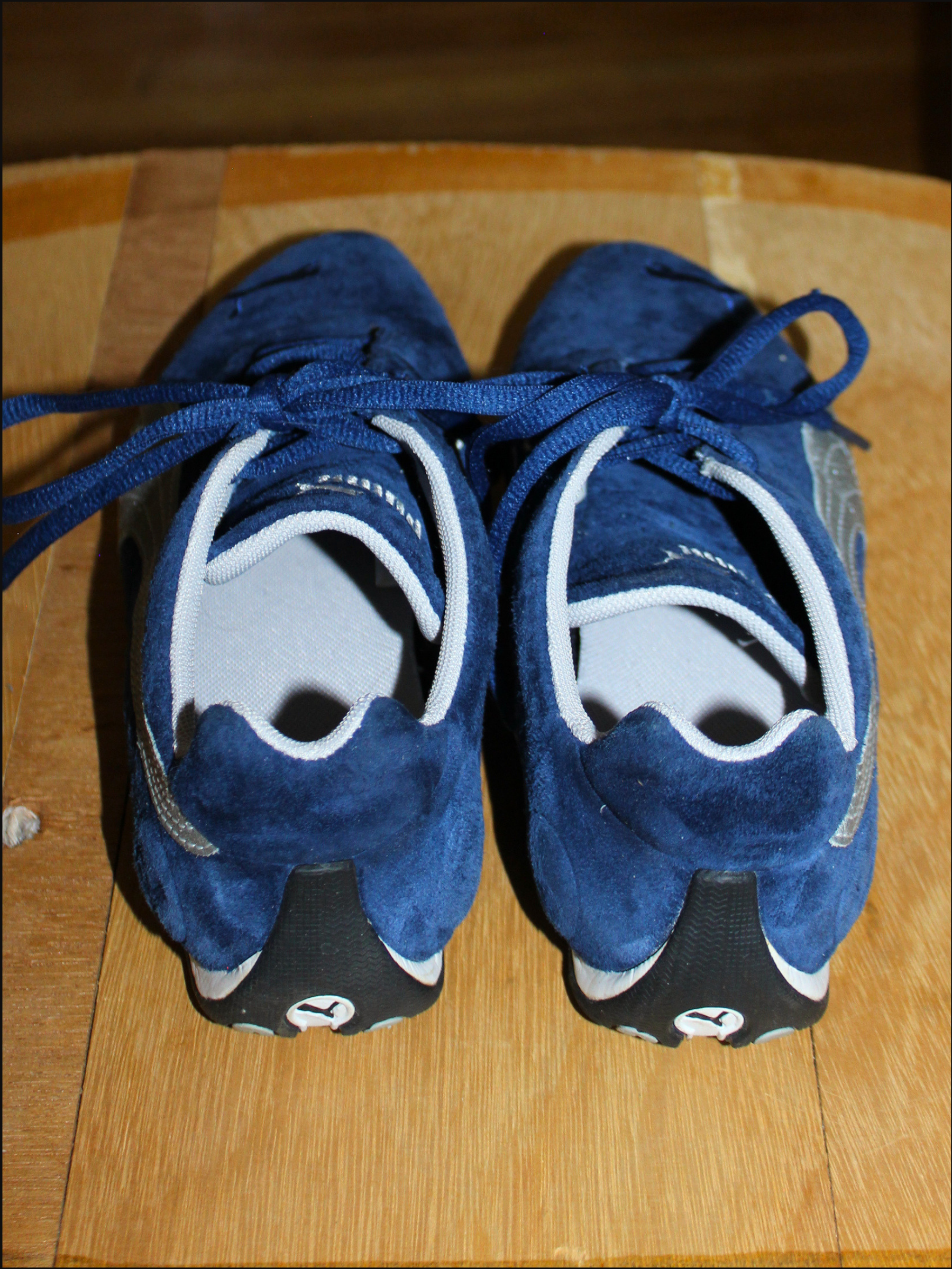 blue pumas cover (5).png