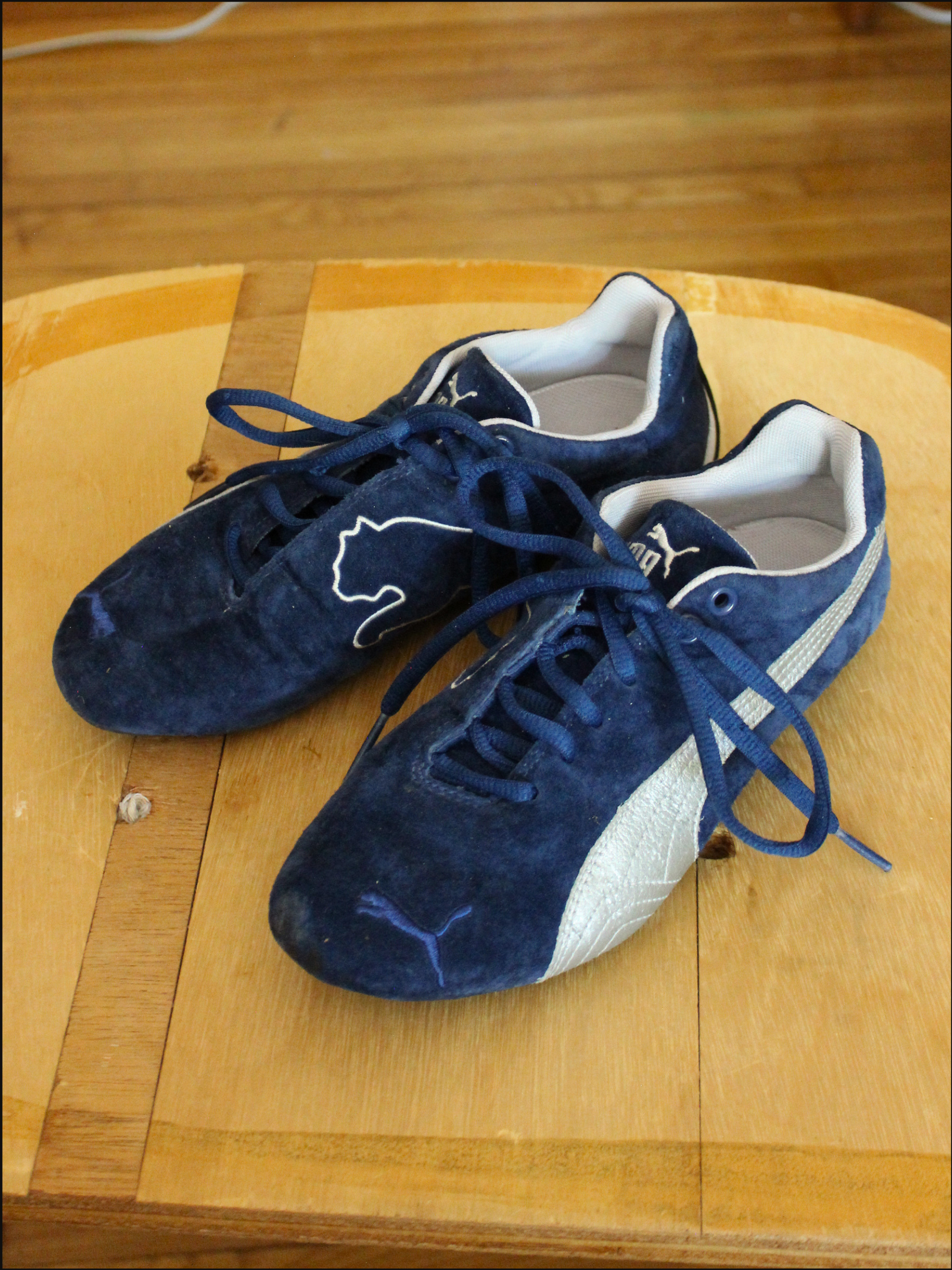 blue pumas cover (9).png