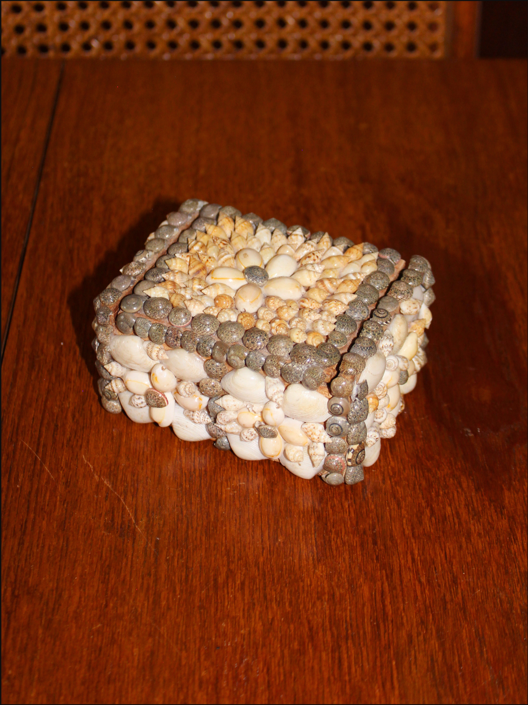 Seashell Trinket Box
