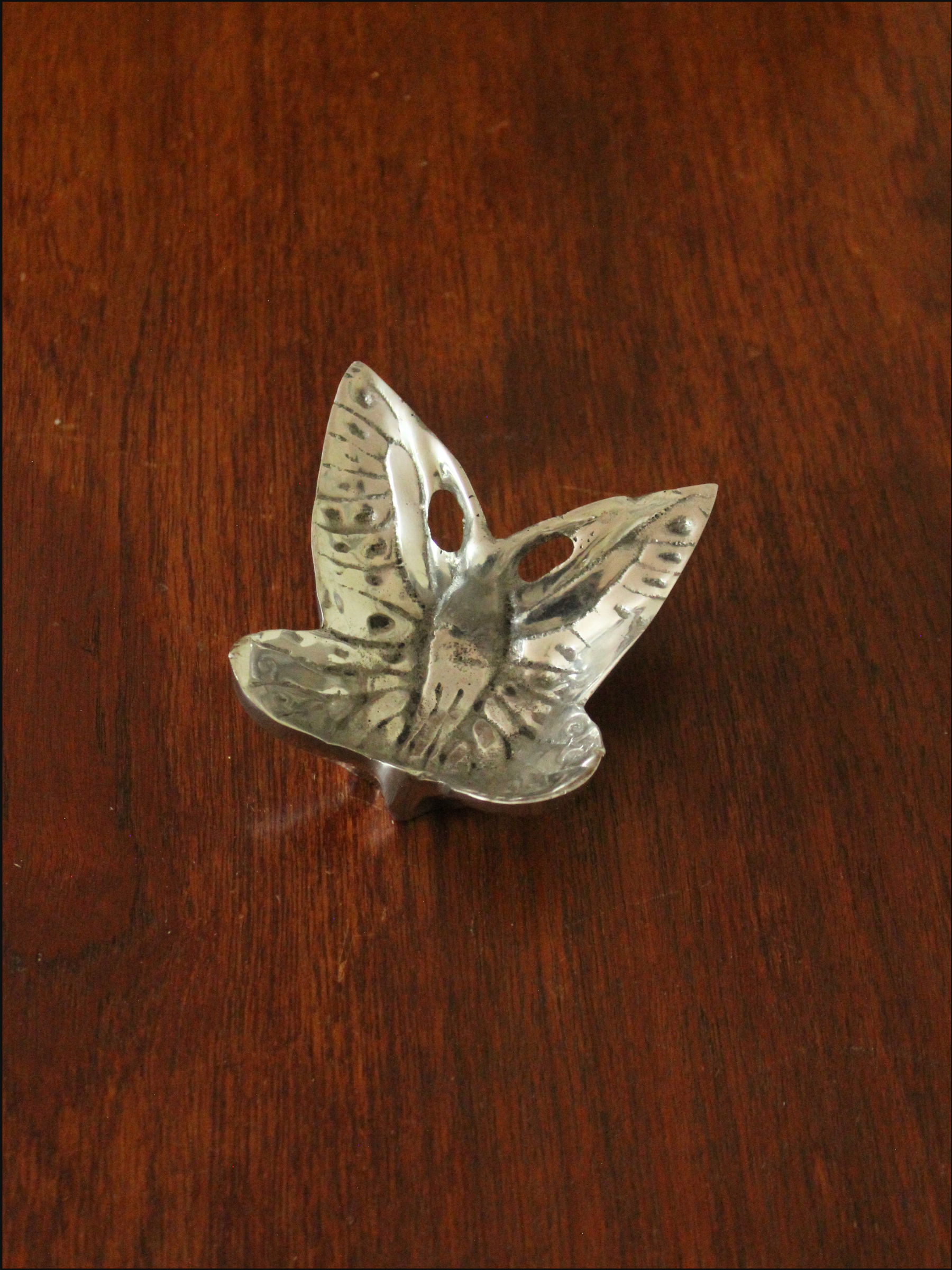 butterfly cover (5).png