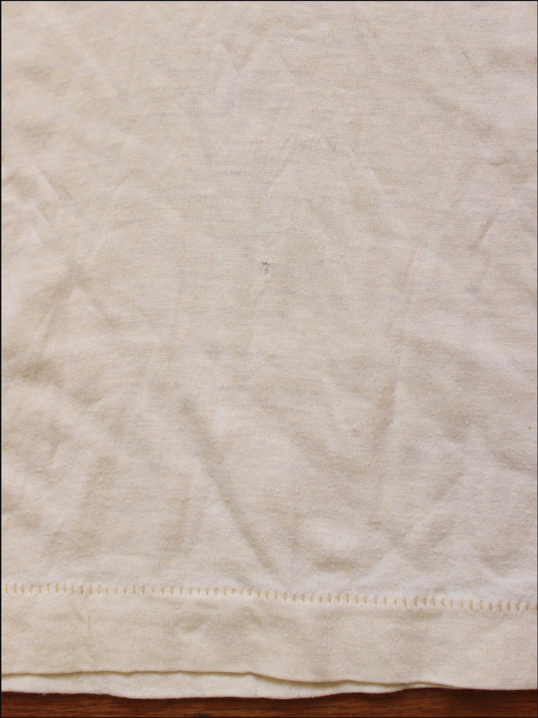 salt creek tee cover (4).png