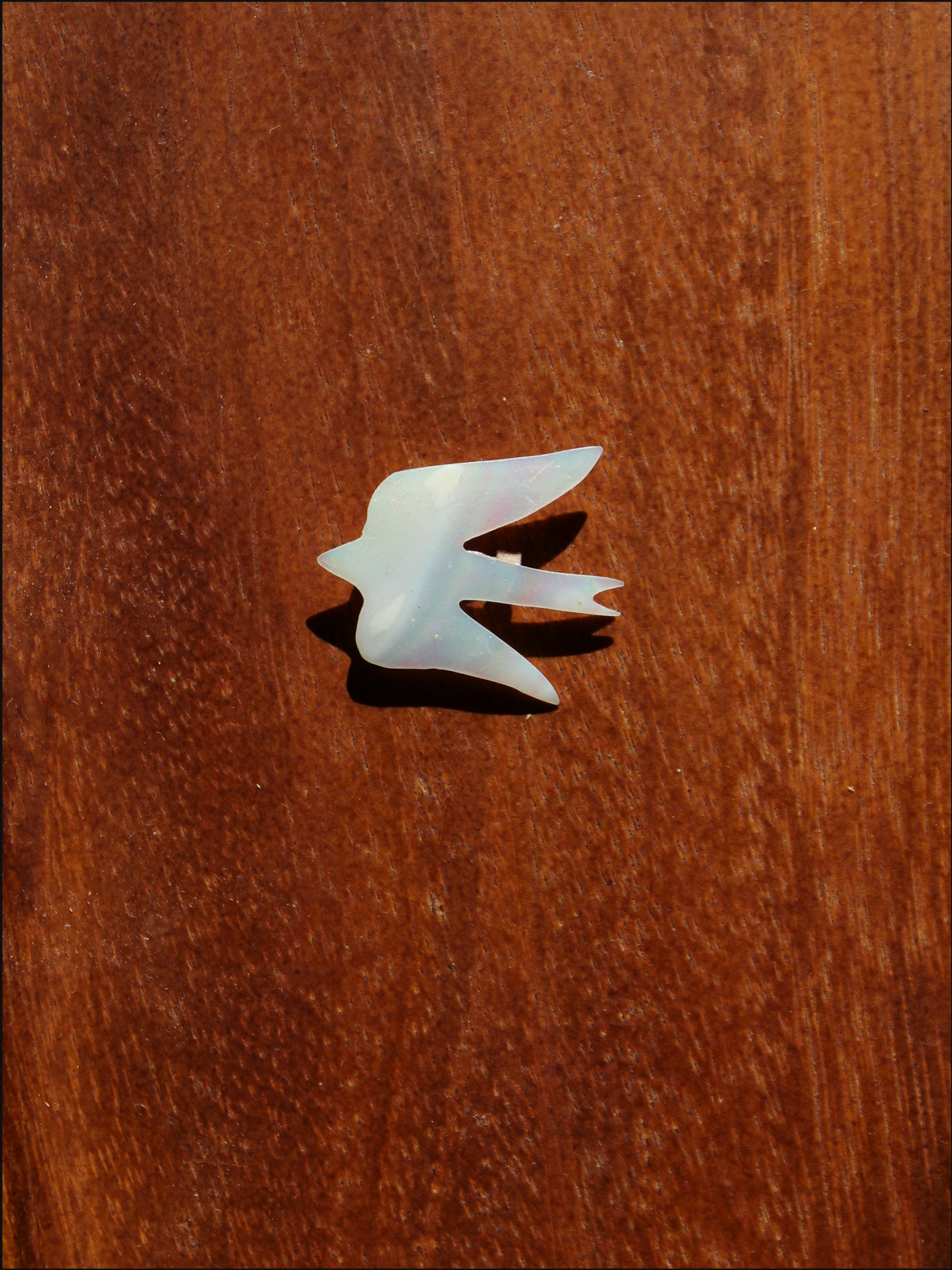 bird shell pin cover.png