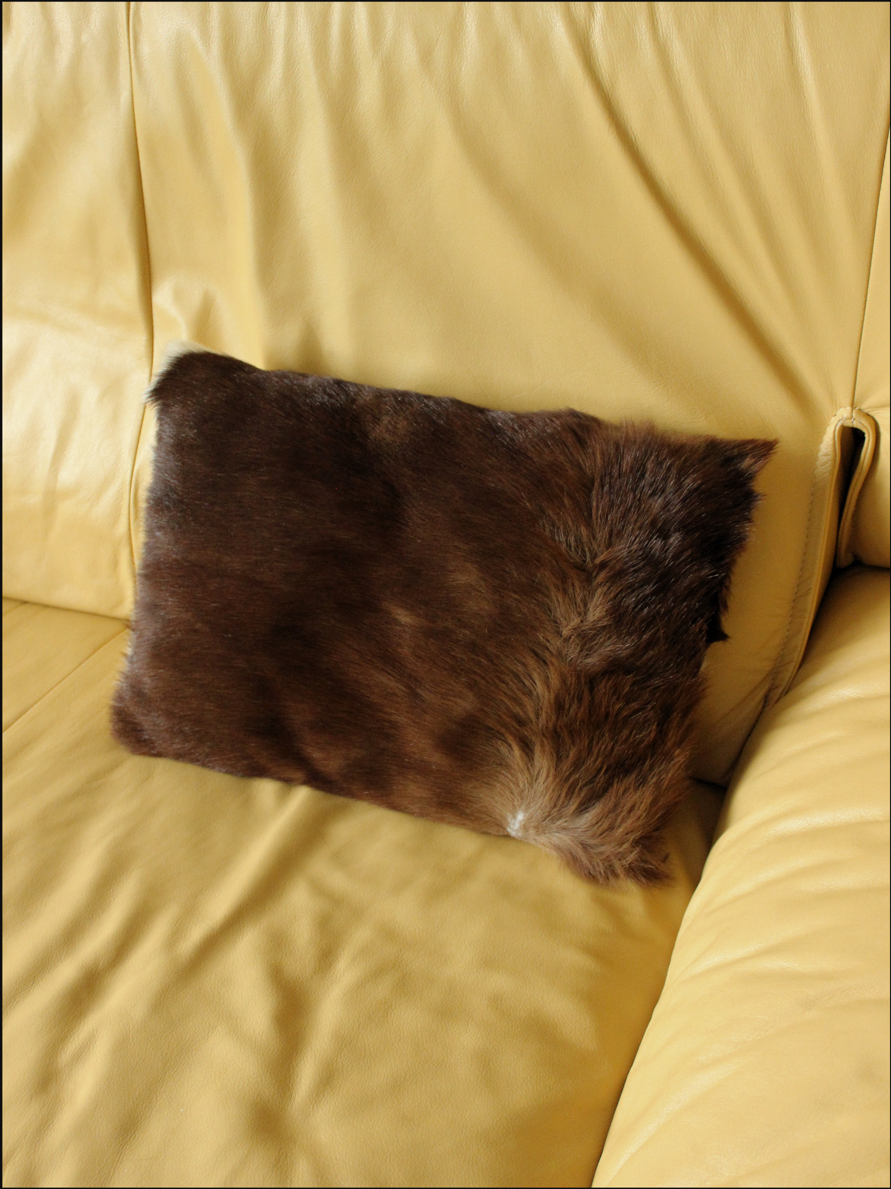 fur pillow cover (4).png