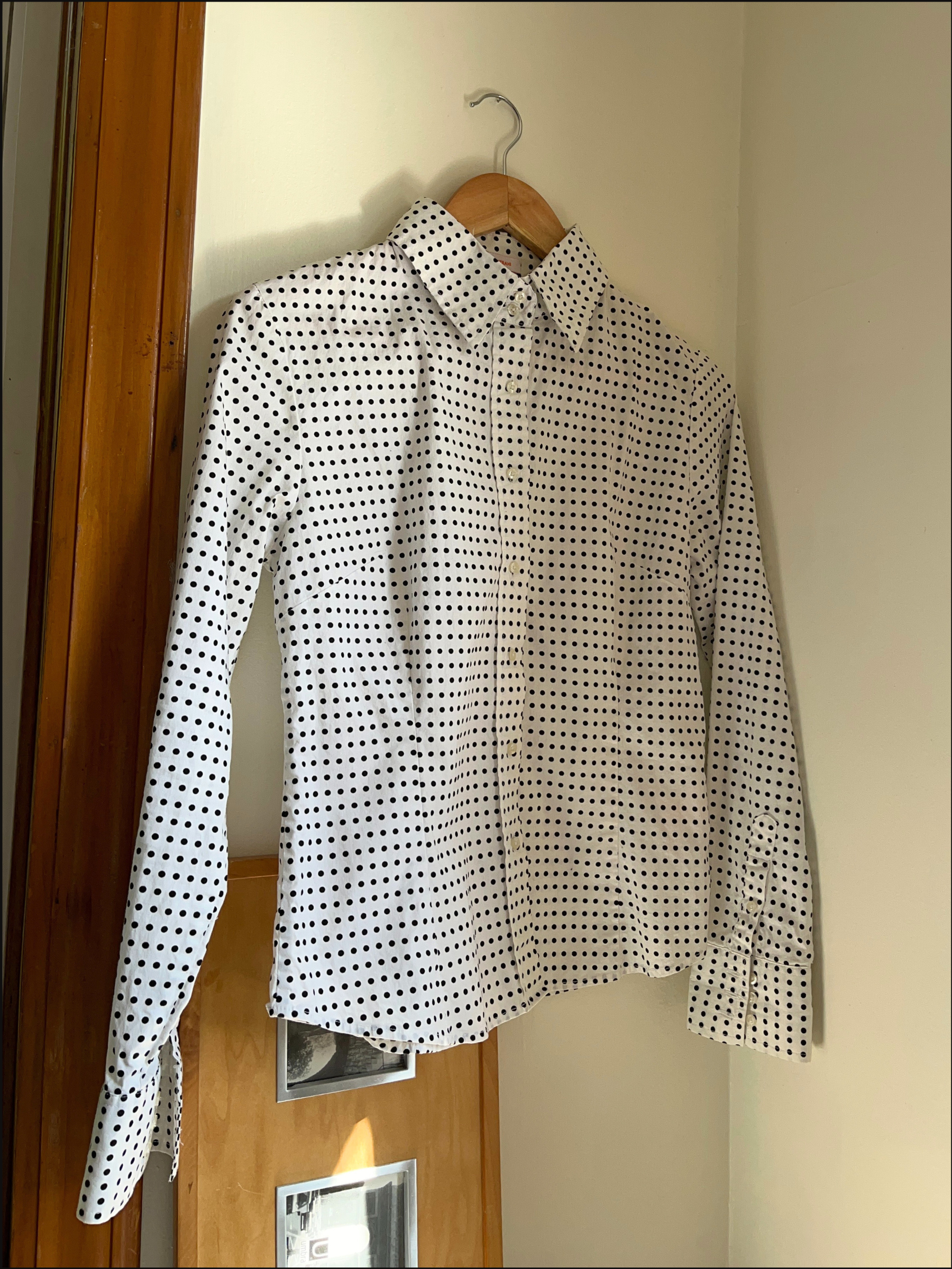 polka dot shirt cover copy.png
