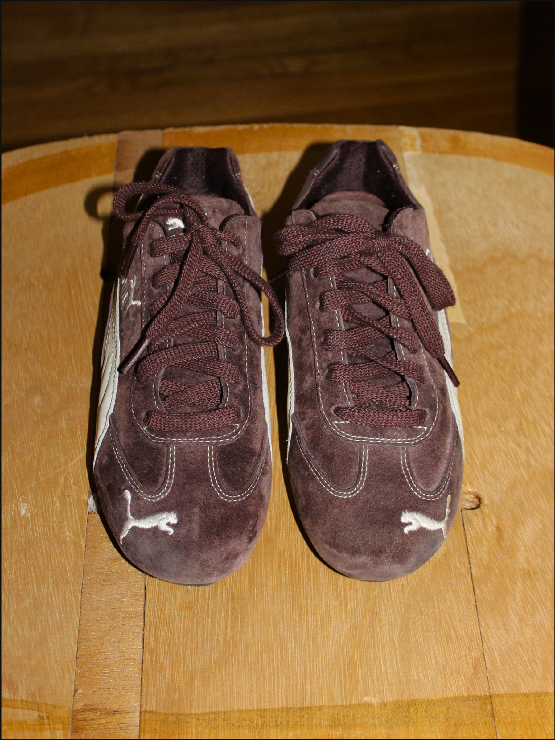 brown pumas cover (7).png