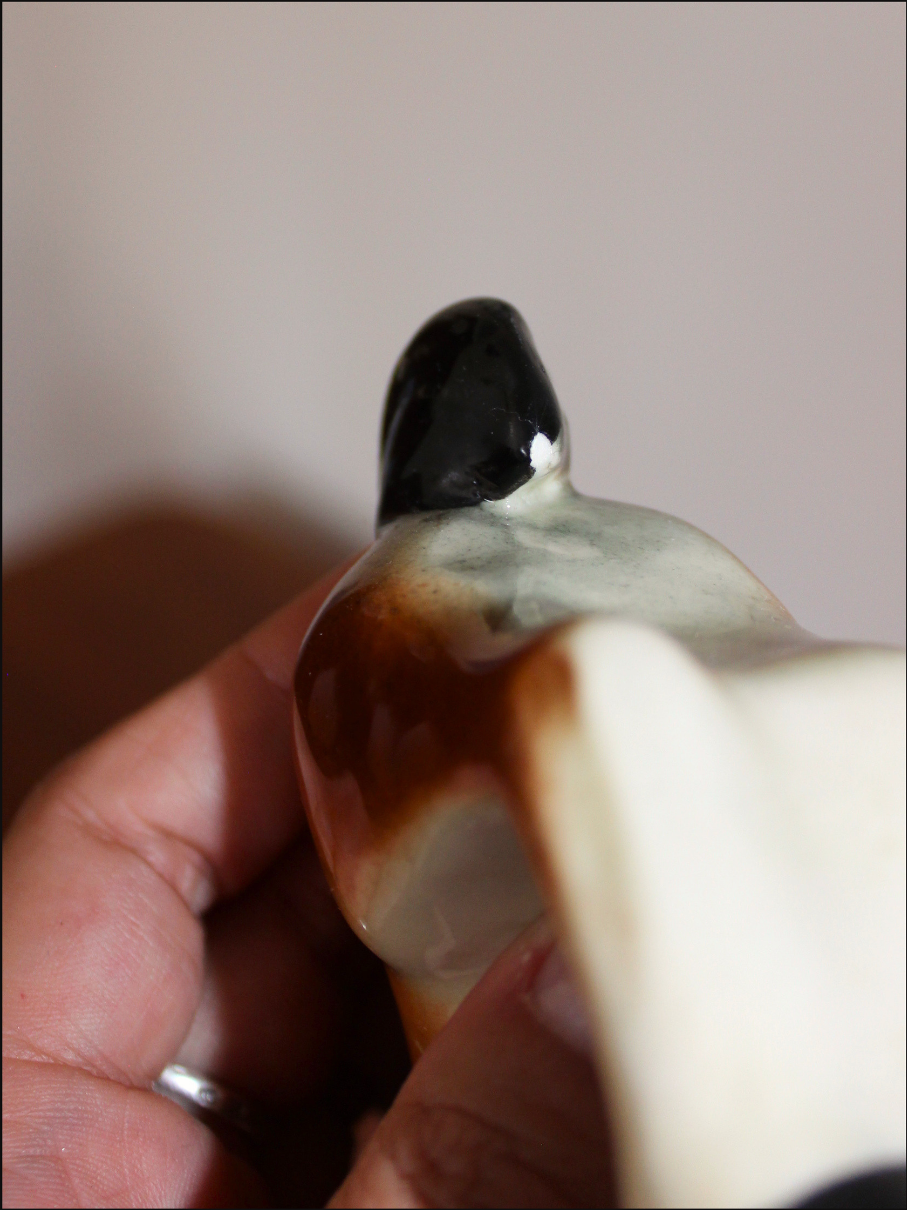 bowing horse cover (6).png