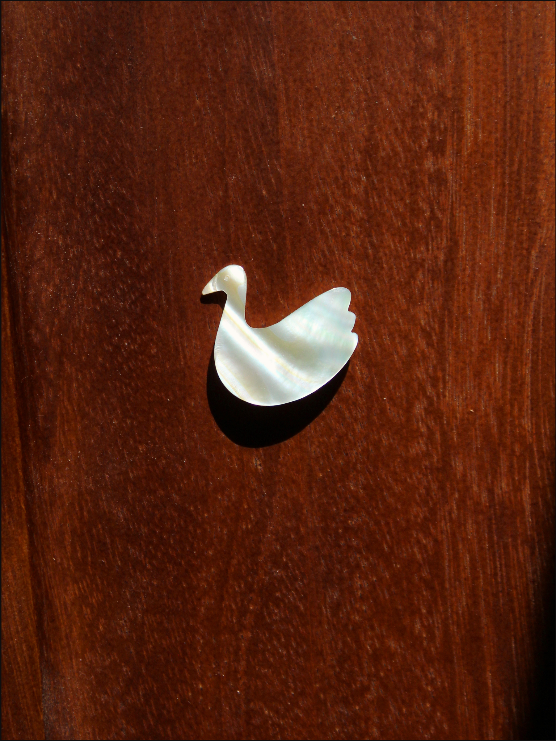 swan shell pin cover.png