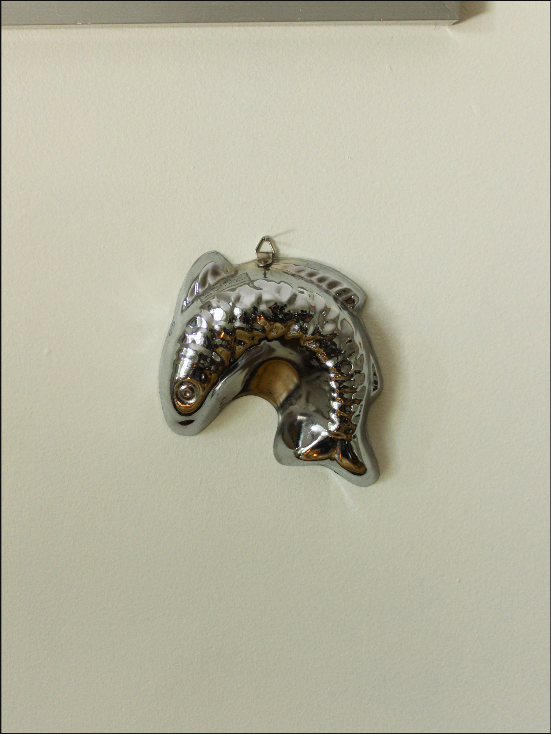 fish moulds cover (7).png