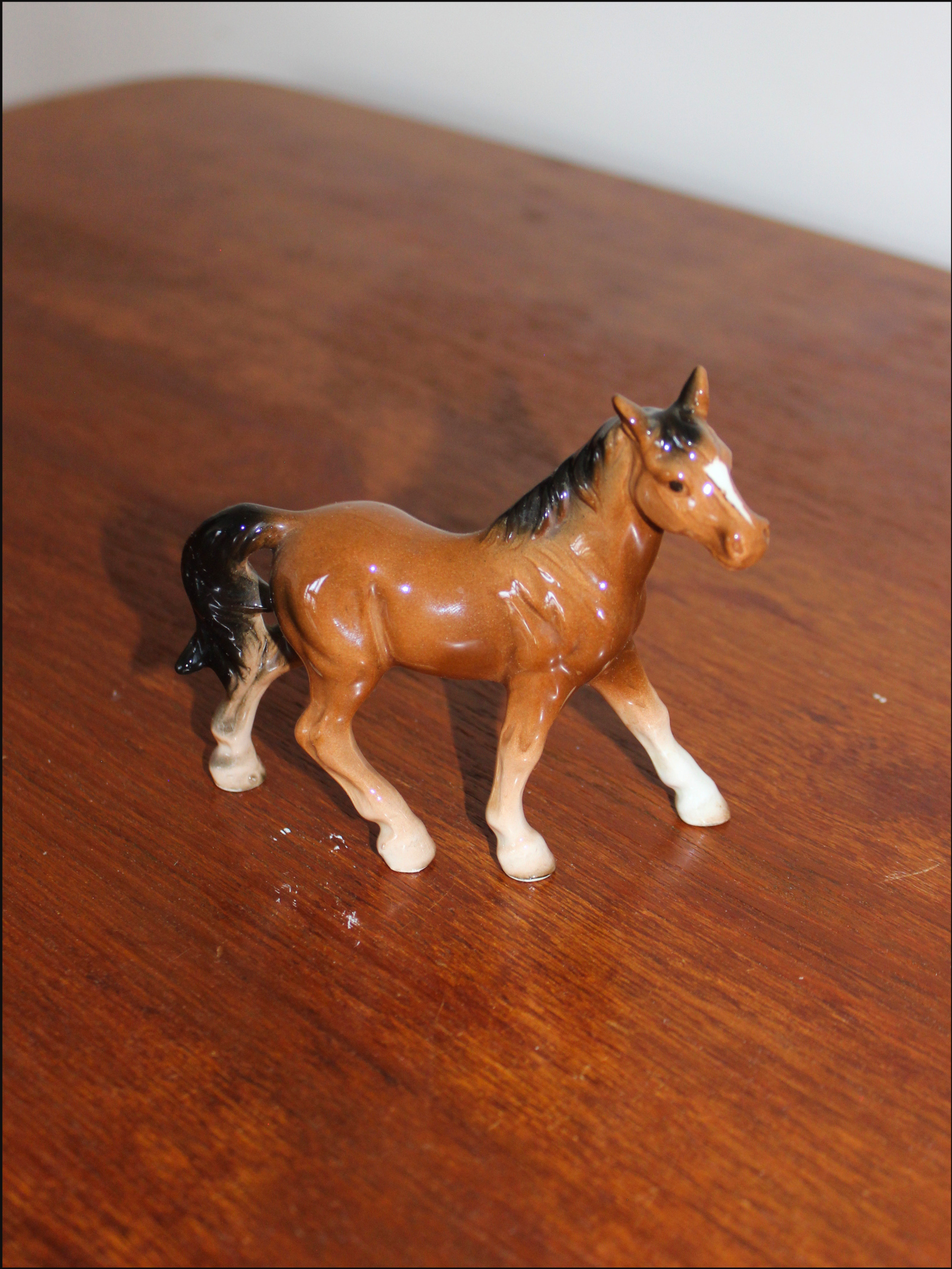 standing horse cover.png