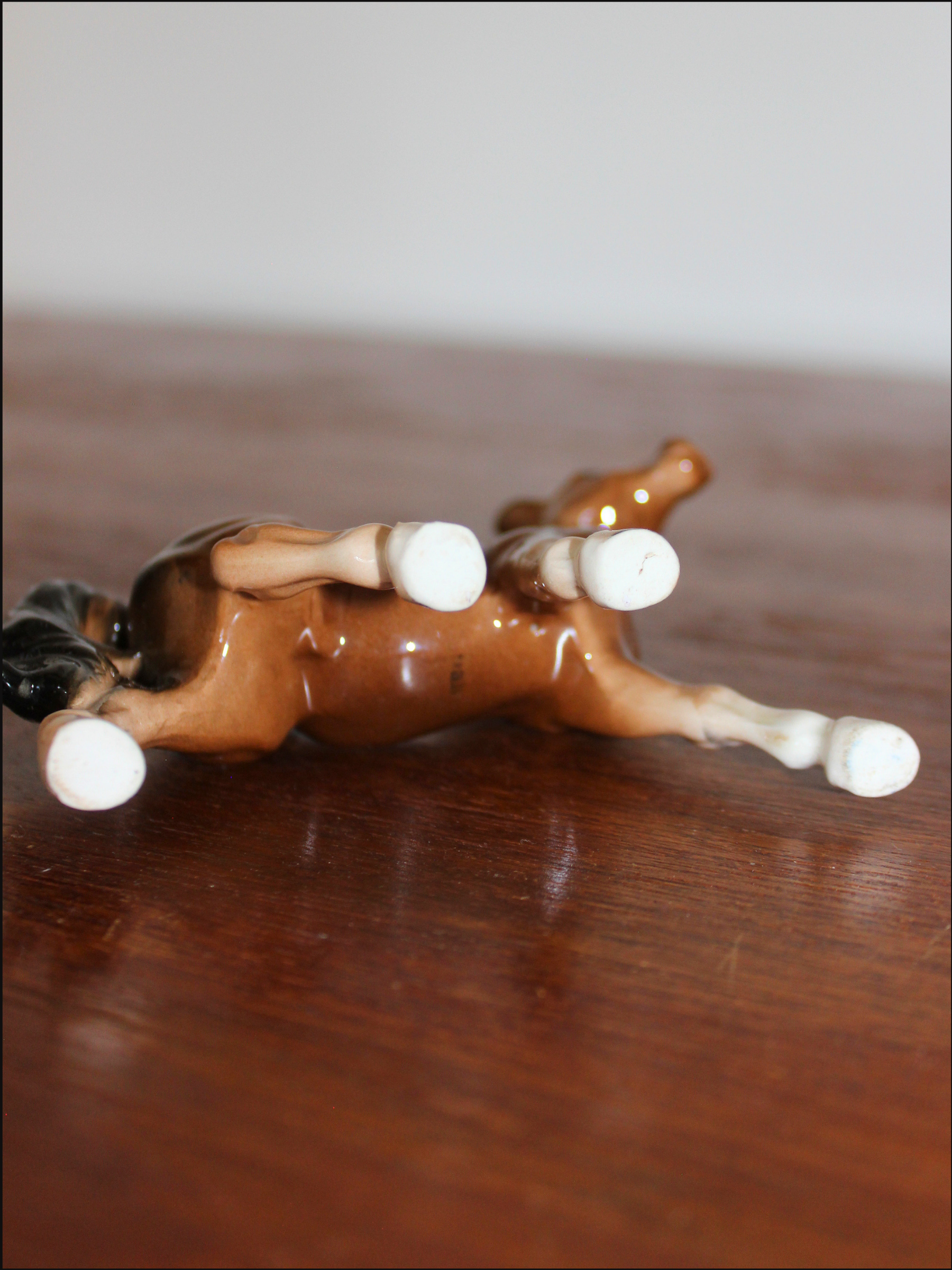 standing horse cover (5).png