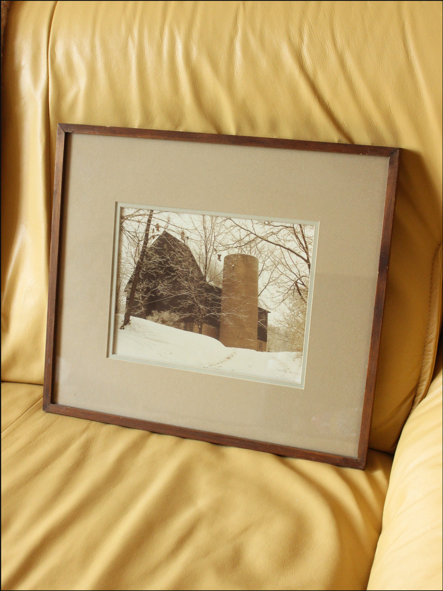 farm frame cover (9).png