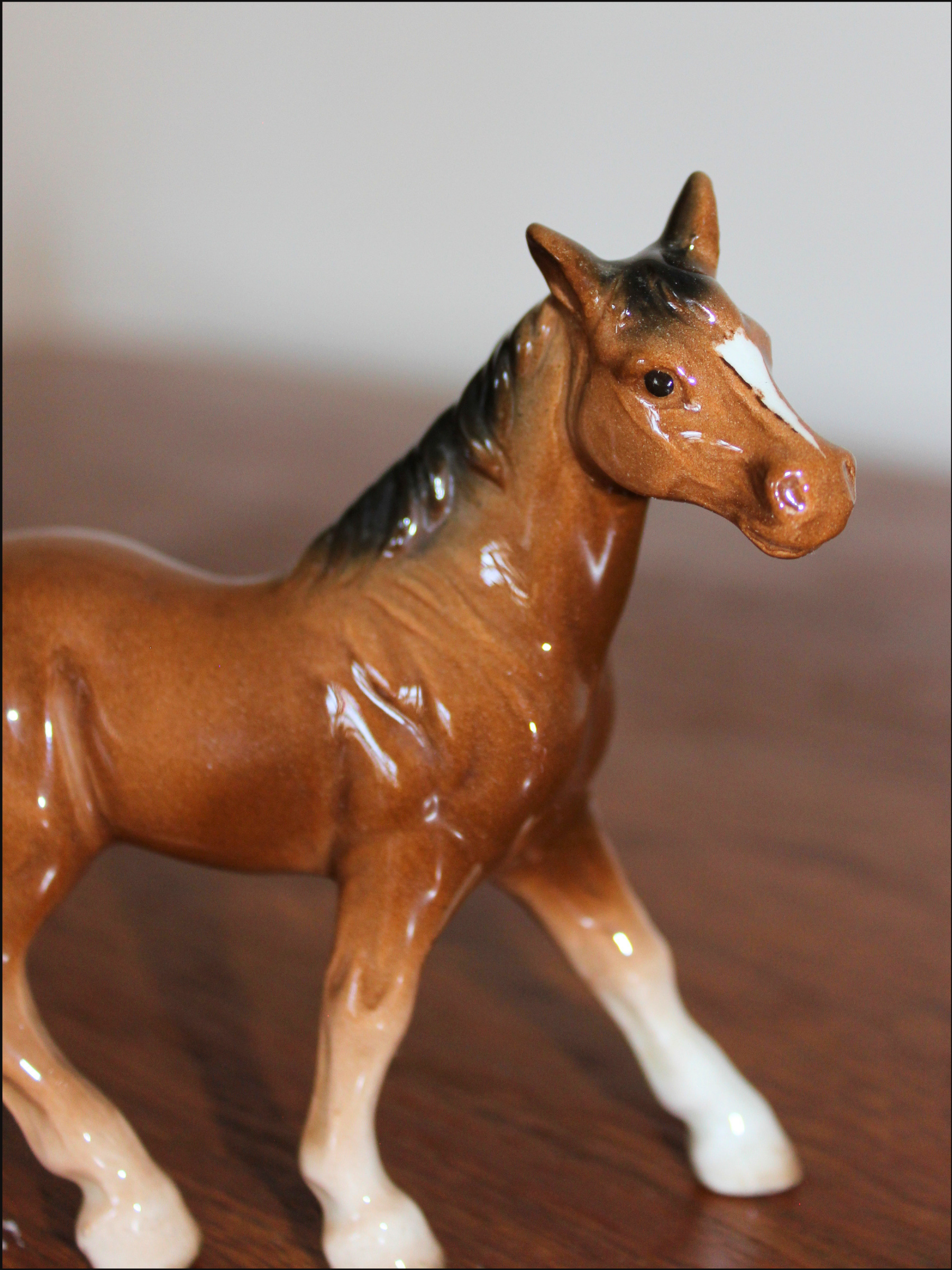 standing horse cover (3).png