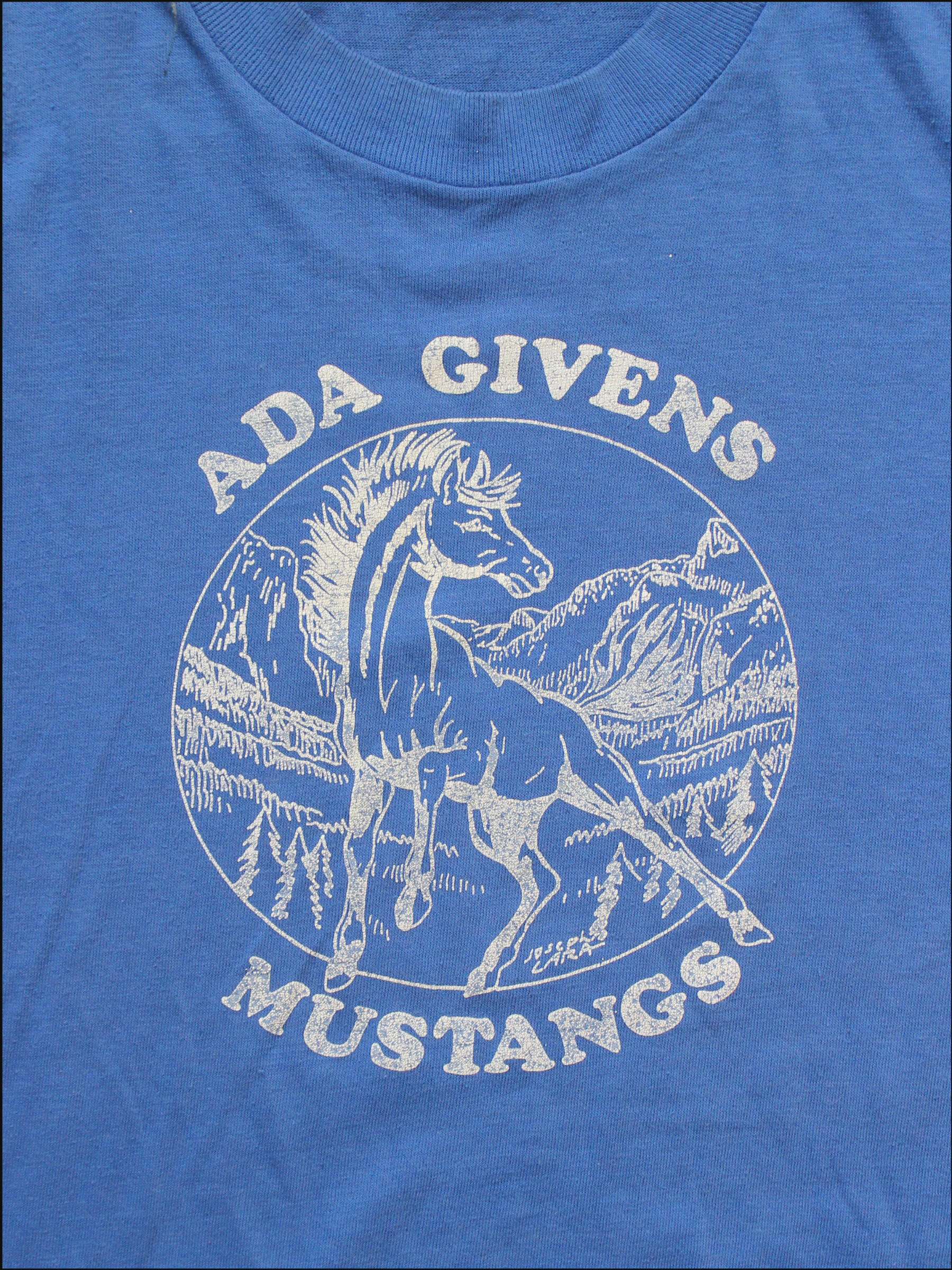 mustangs tee cover (2).png