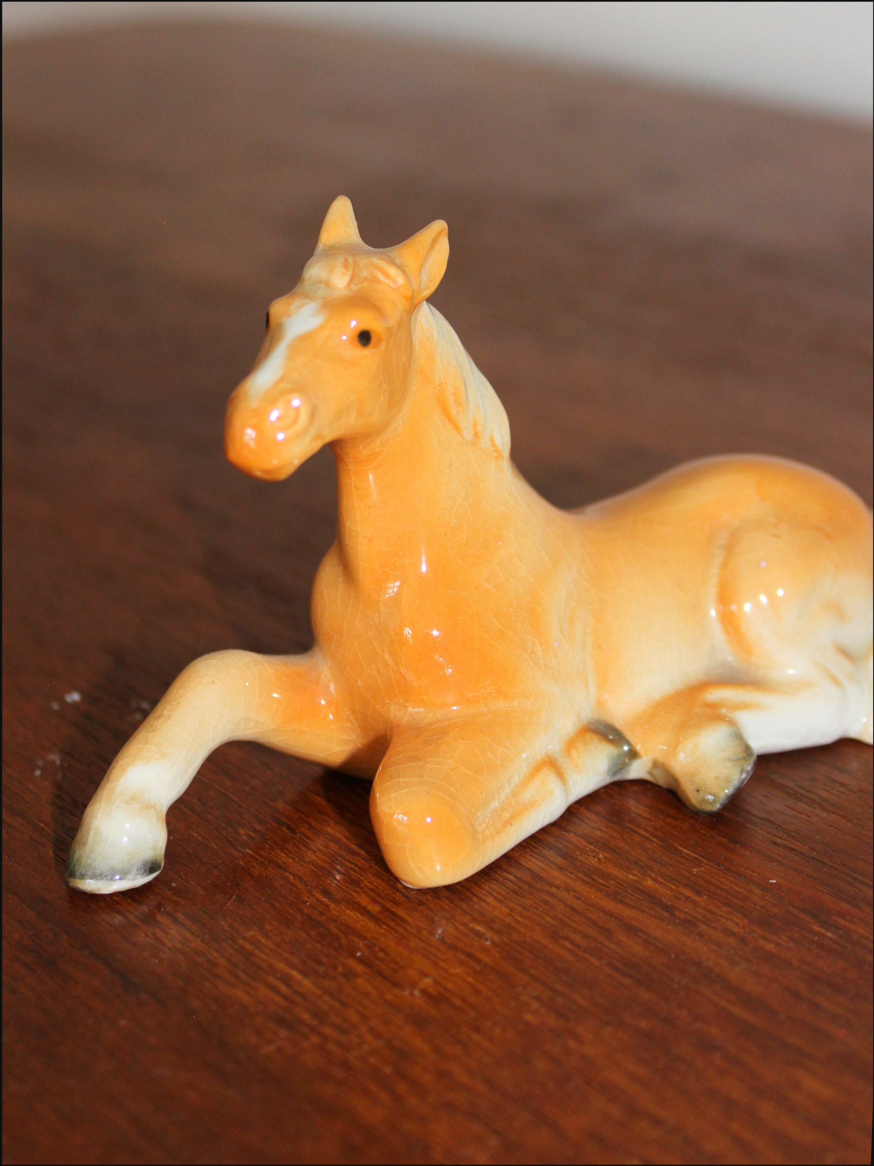 sitting horse cover.png