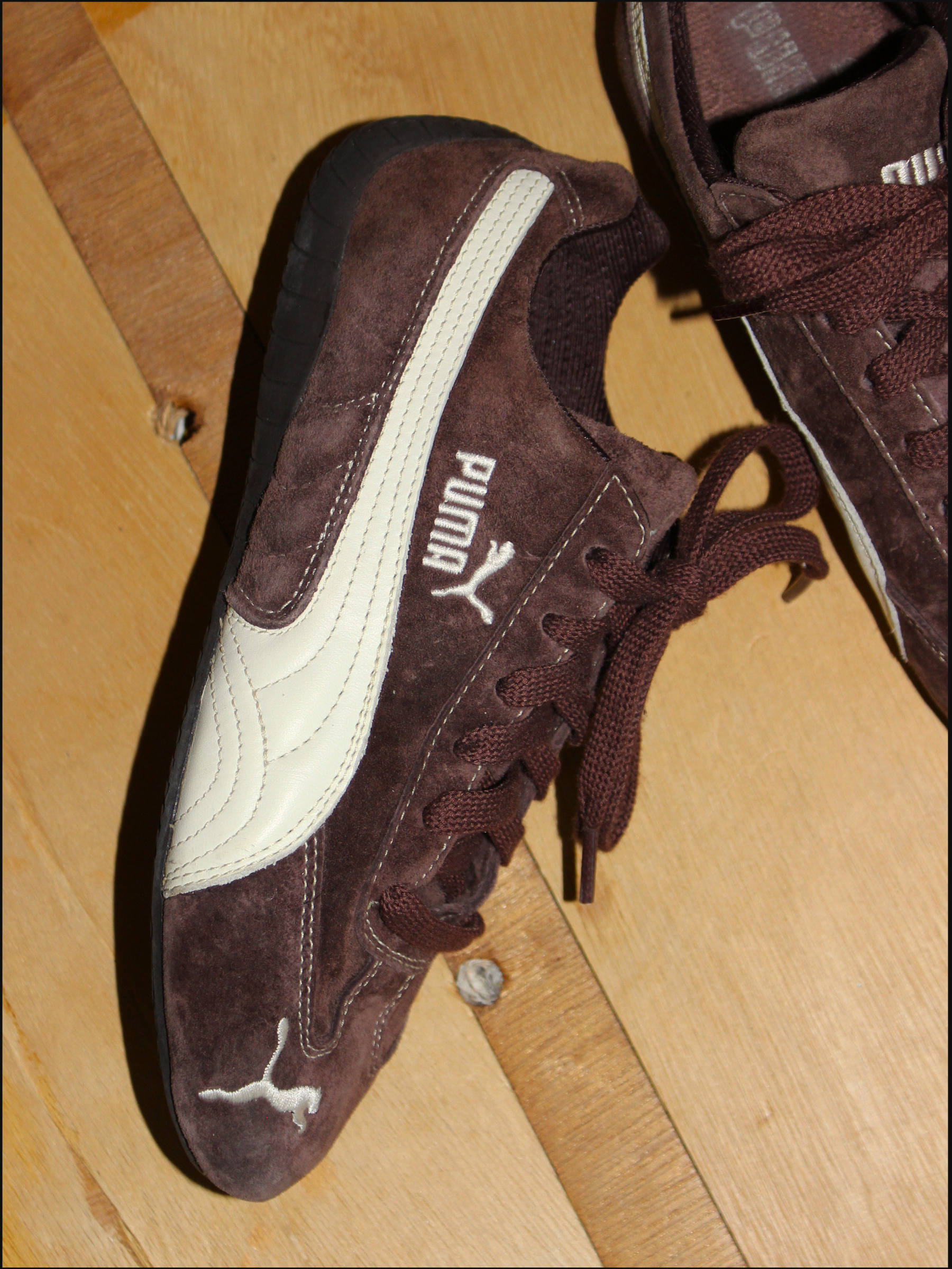 brown pumas cover (6).png