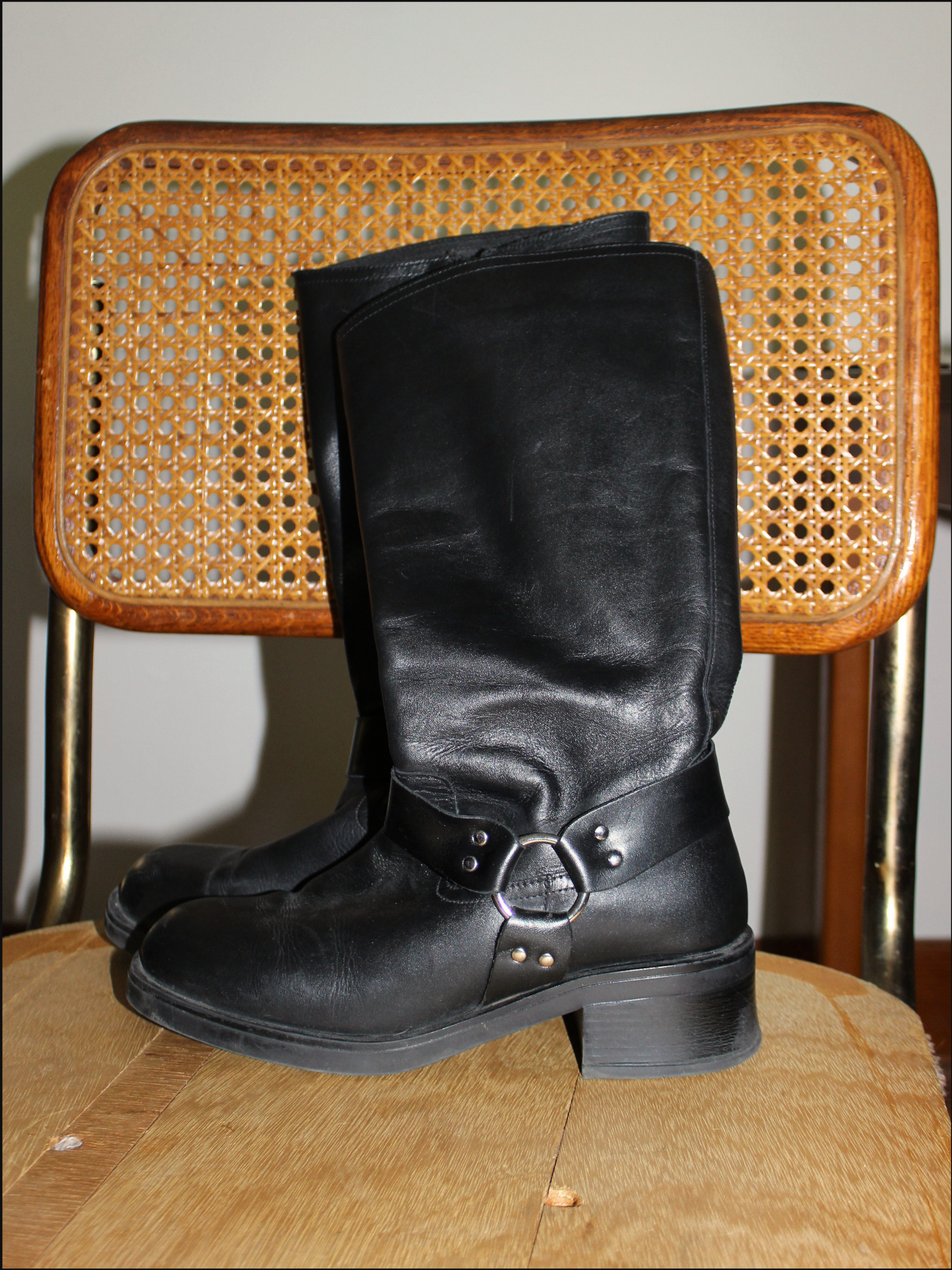 harness boots cover (3).png