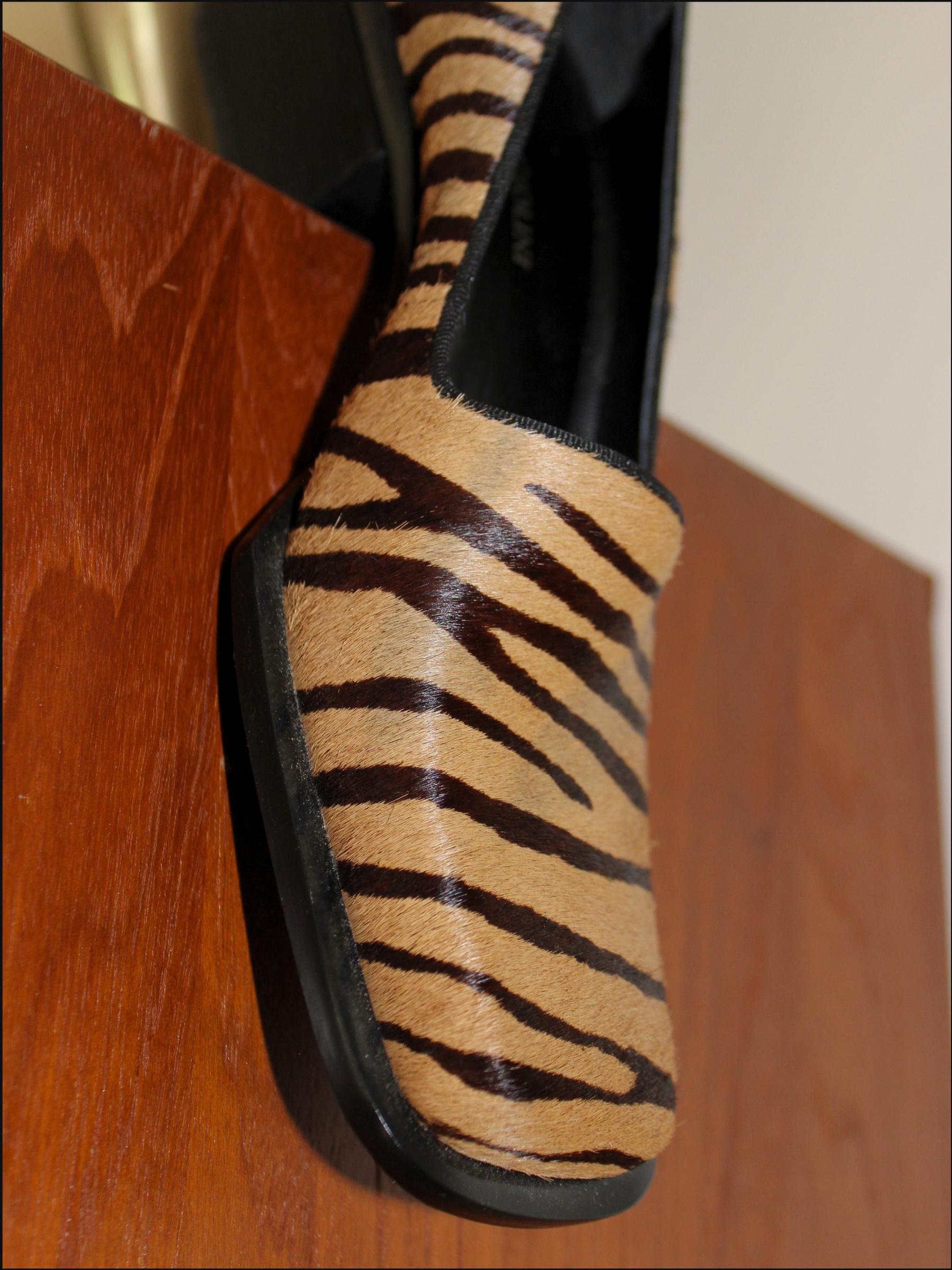 zebra shoes cover.png