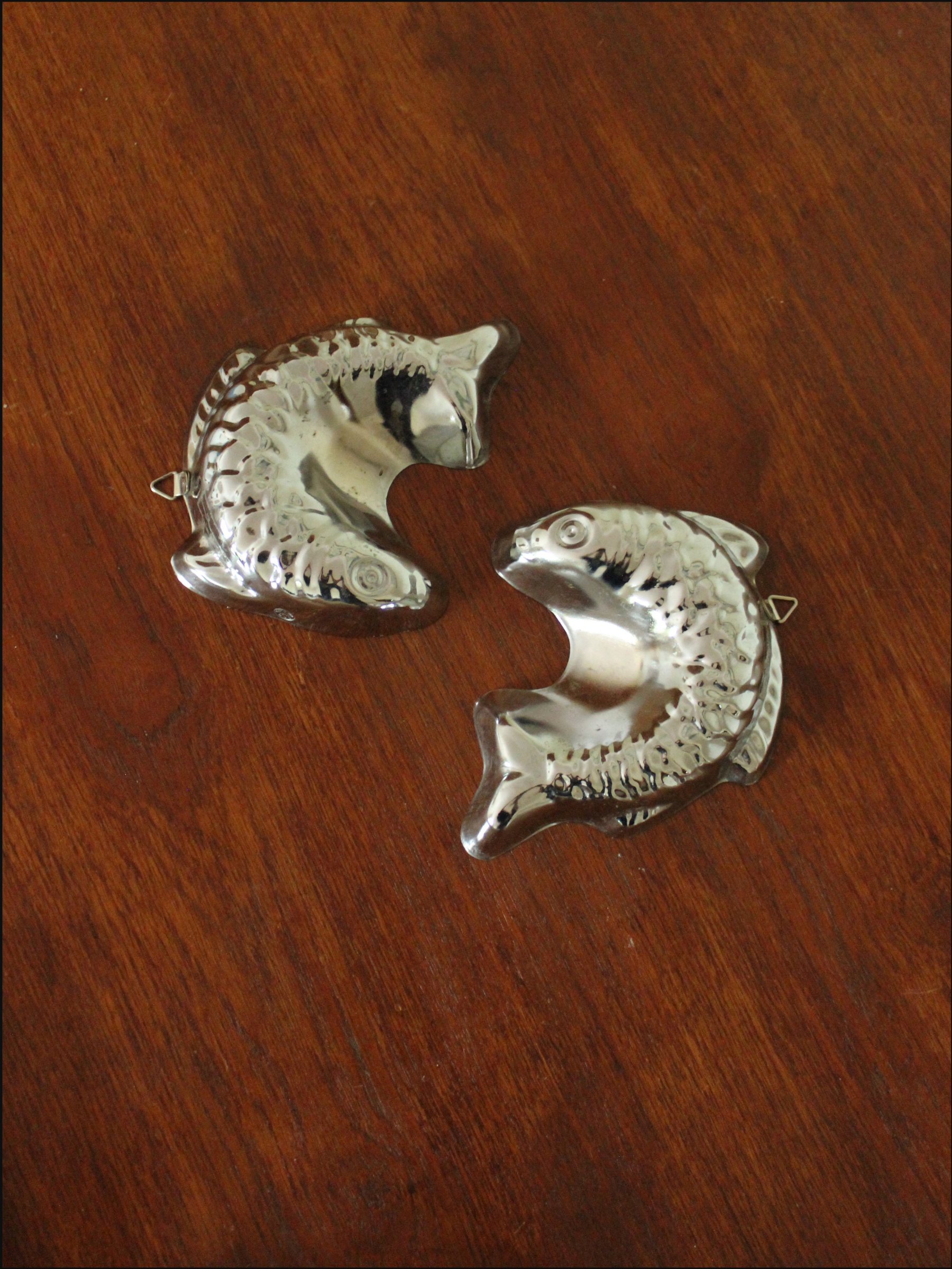 fish moulds cover.png