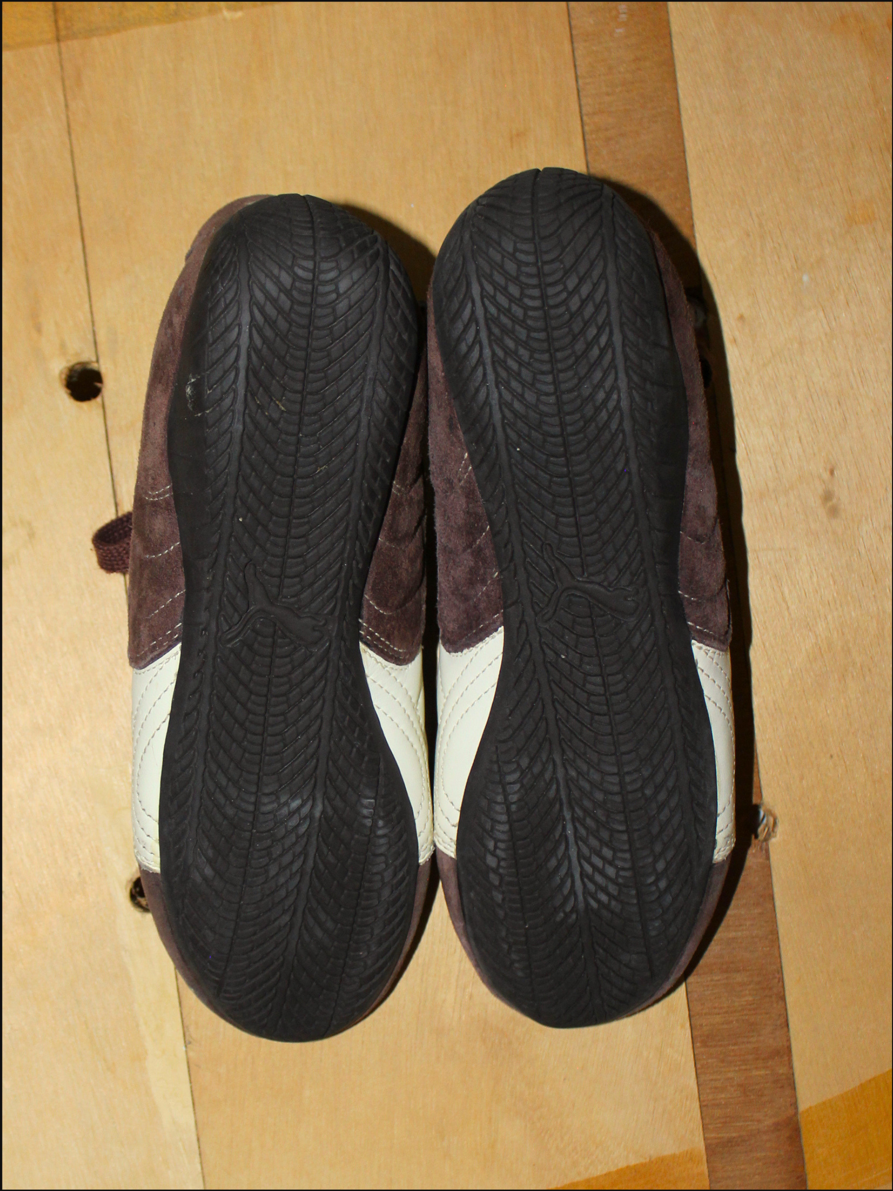 brown pumas cover (4).png