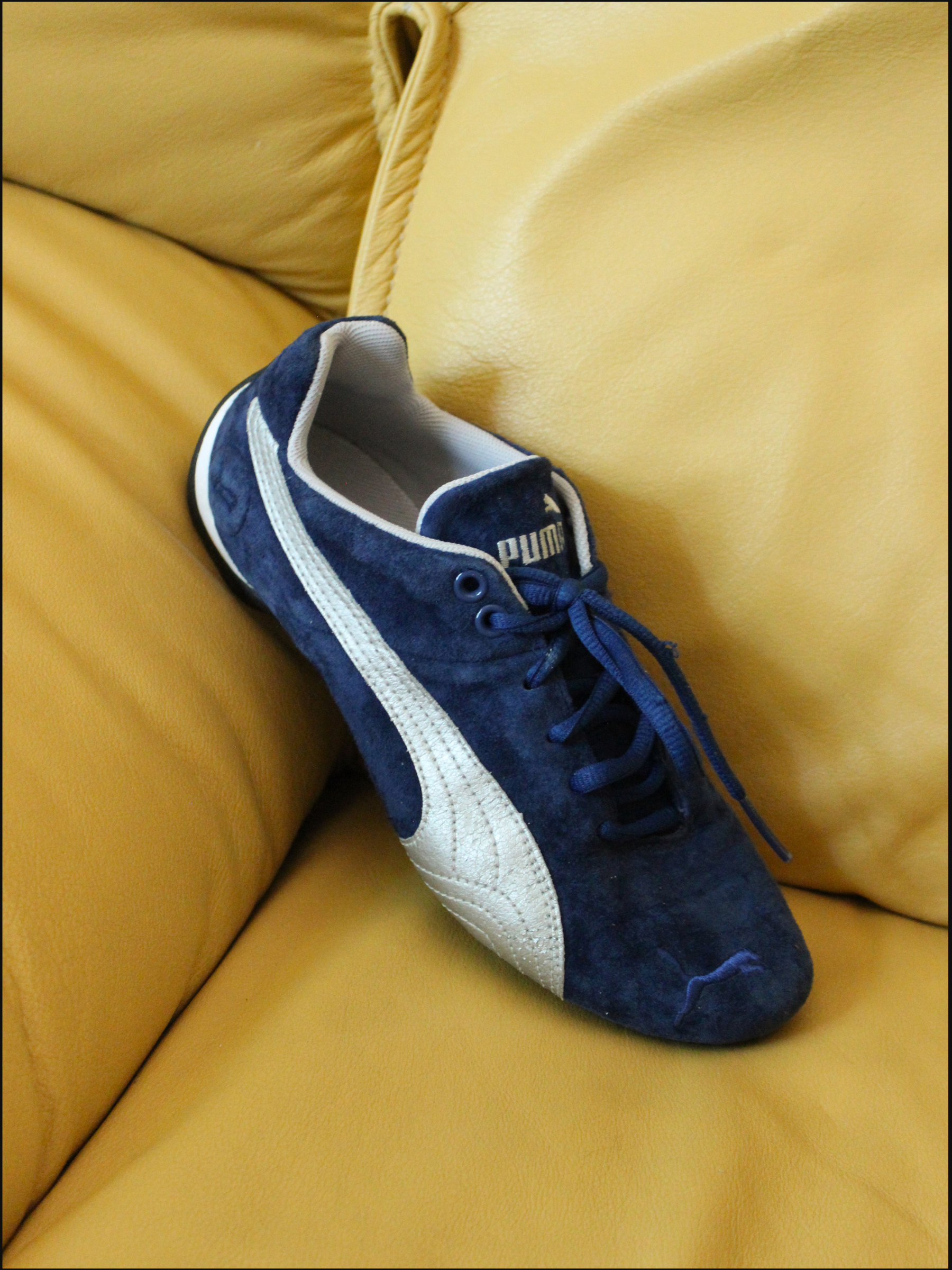 blue pumas cover (8).png