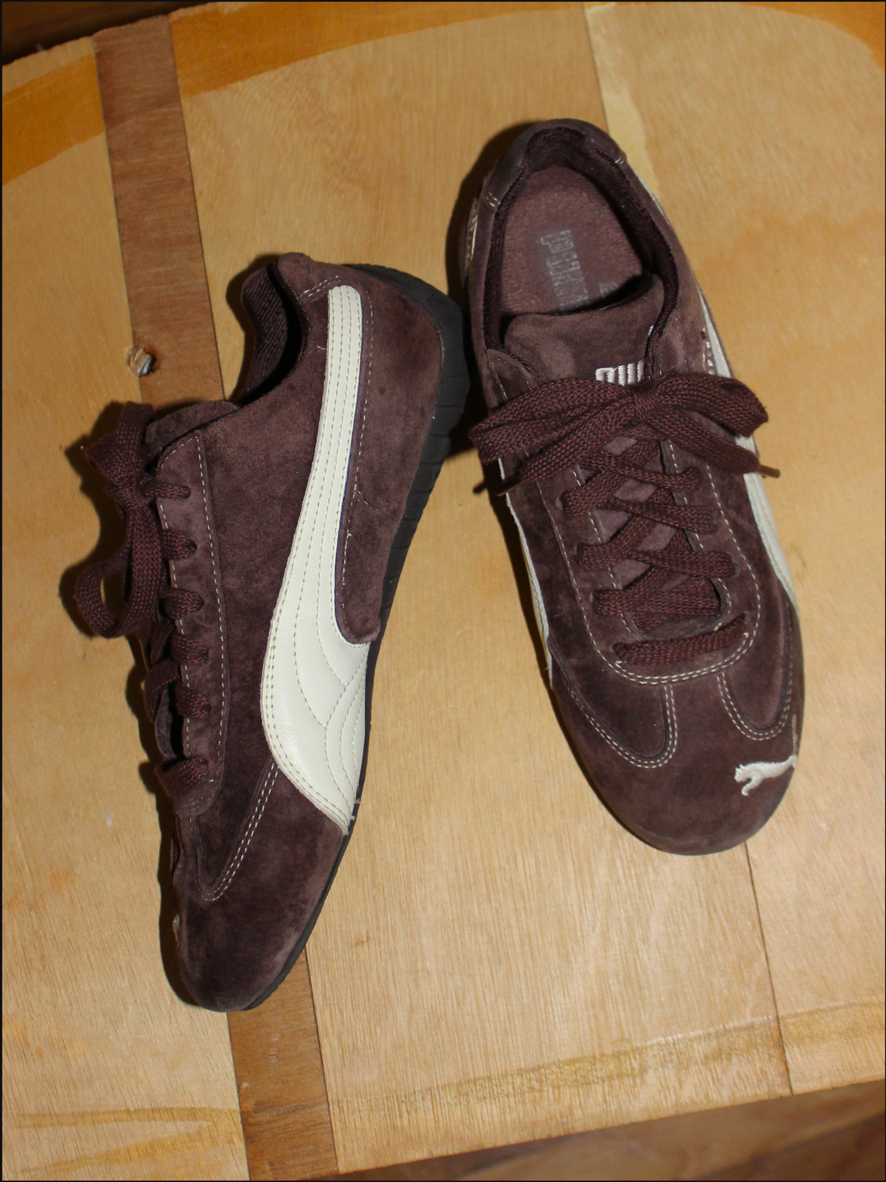 brown pumas cover (9).png