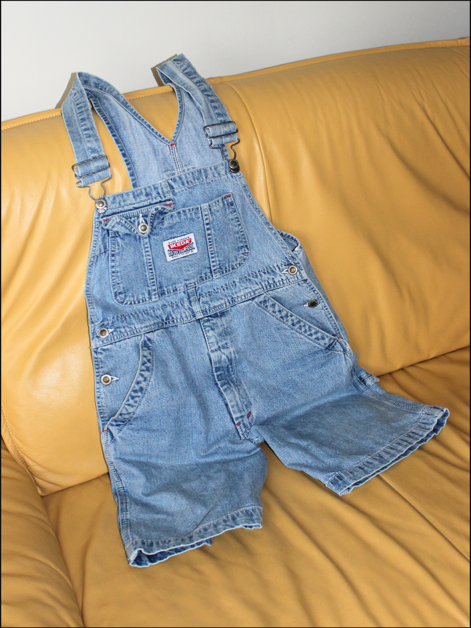 ikeda overall shorts cover (7).png