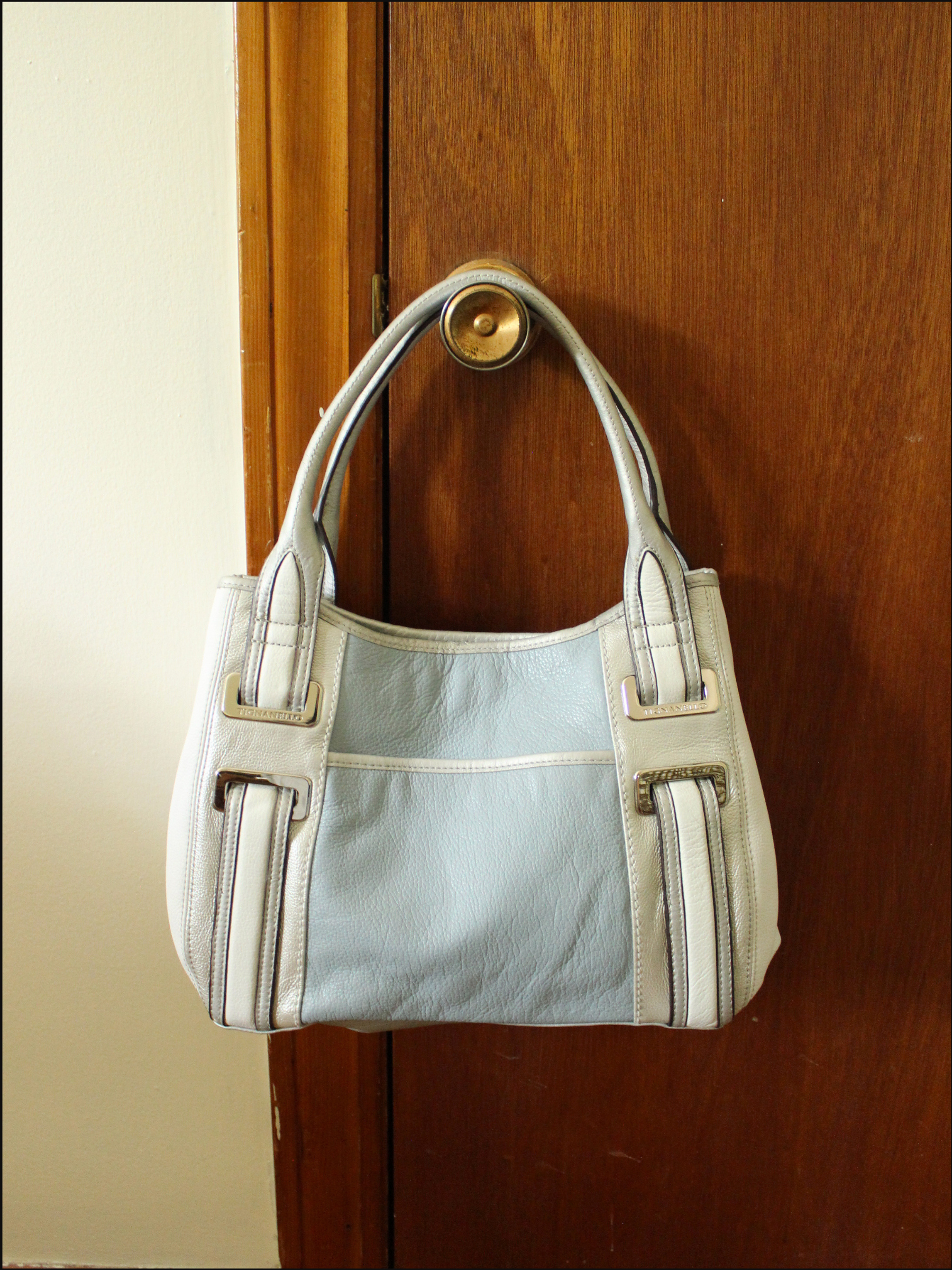 blue silver bag cover (9).png