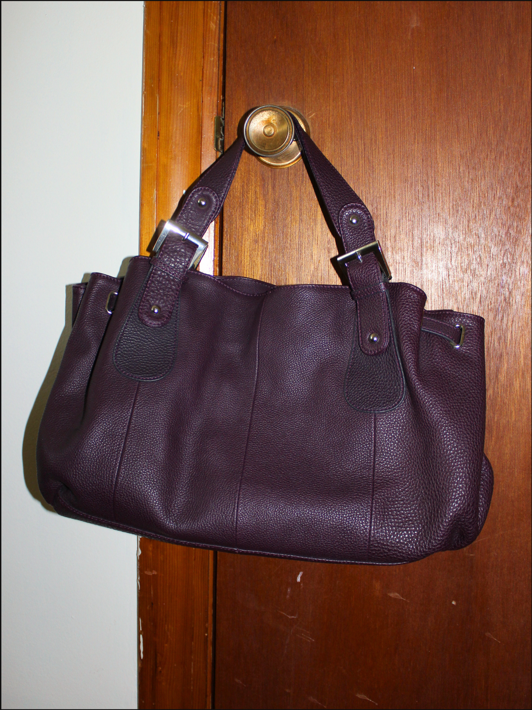 Plum Leather Bag