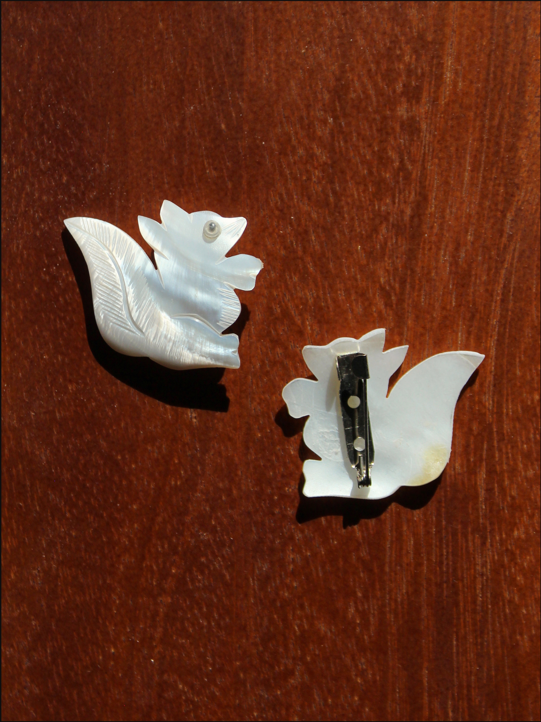 squirrel shell pin cover.png