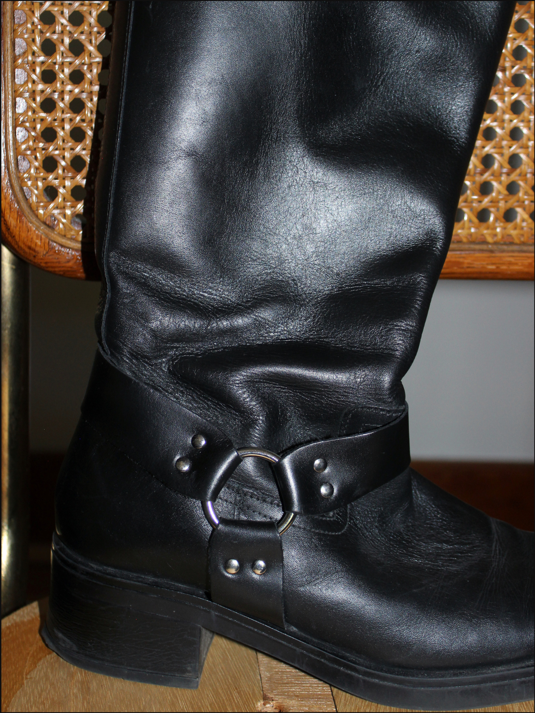 harness boots cover.png