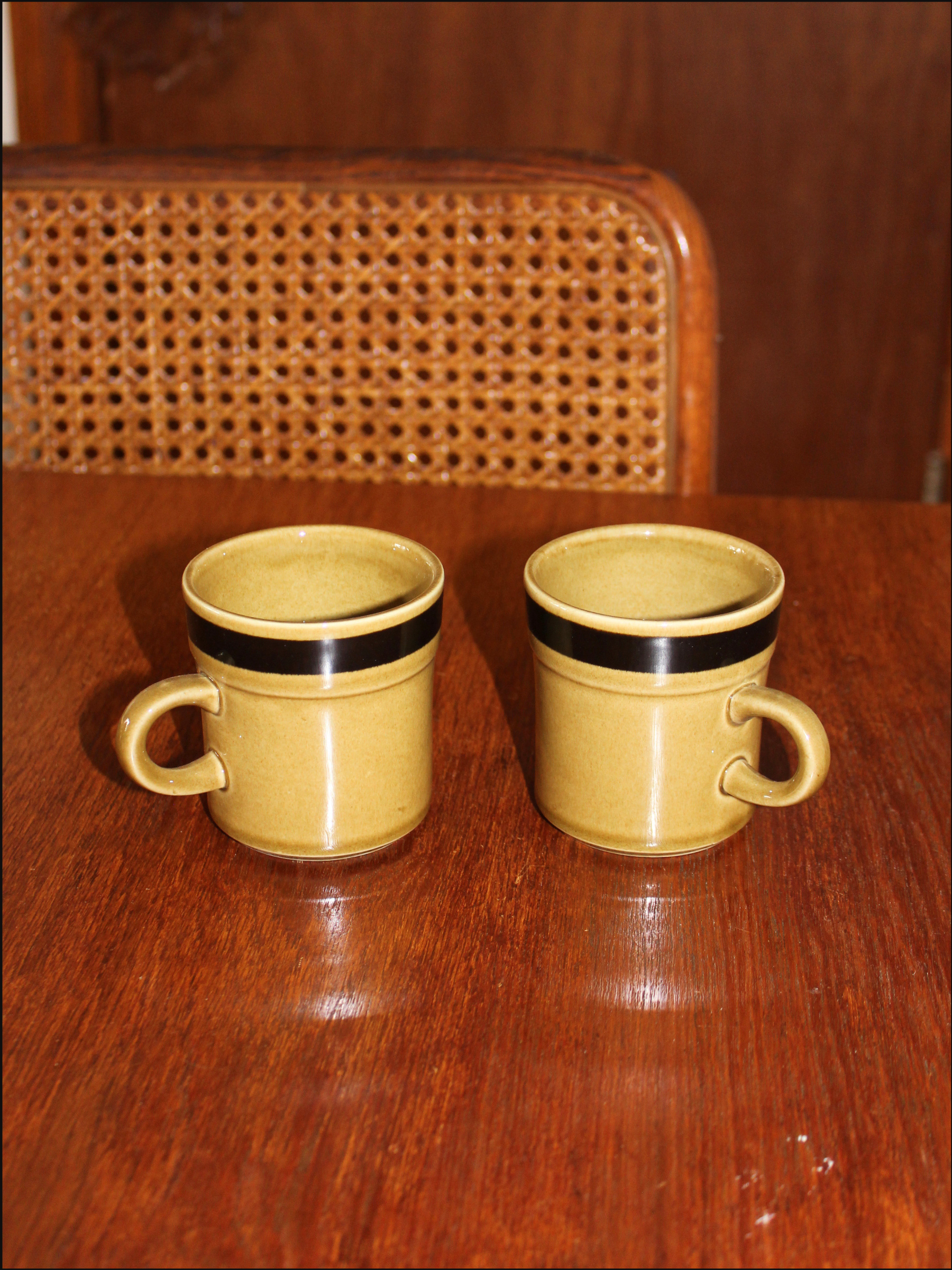 acapulco mugs cover.png