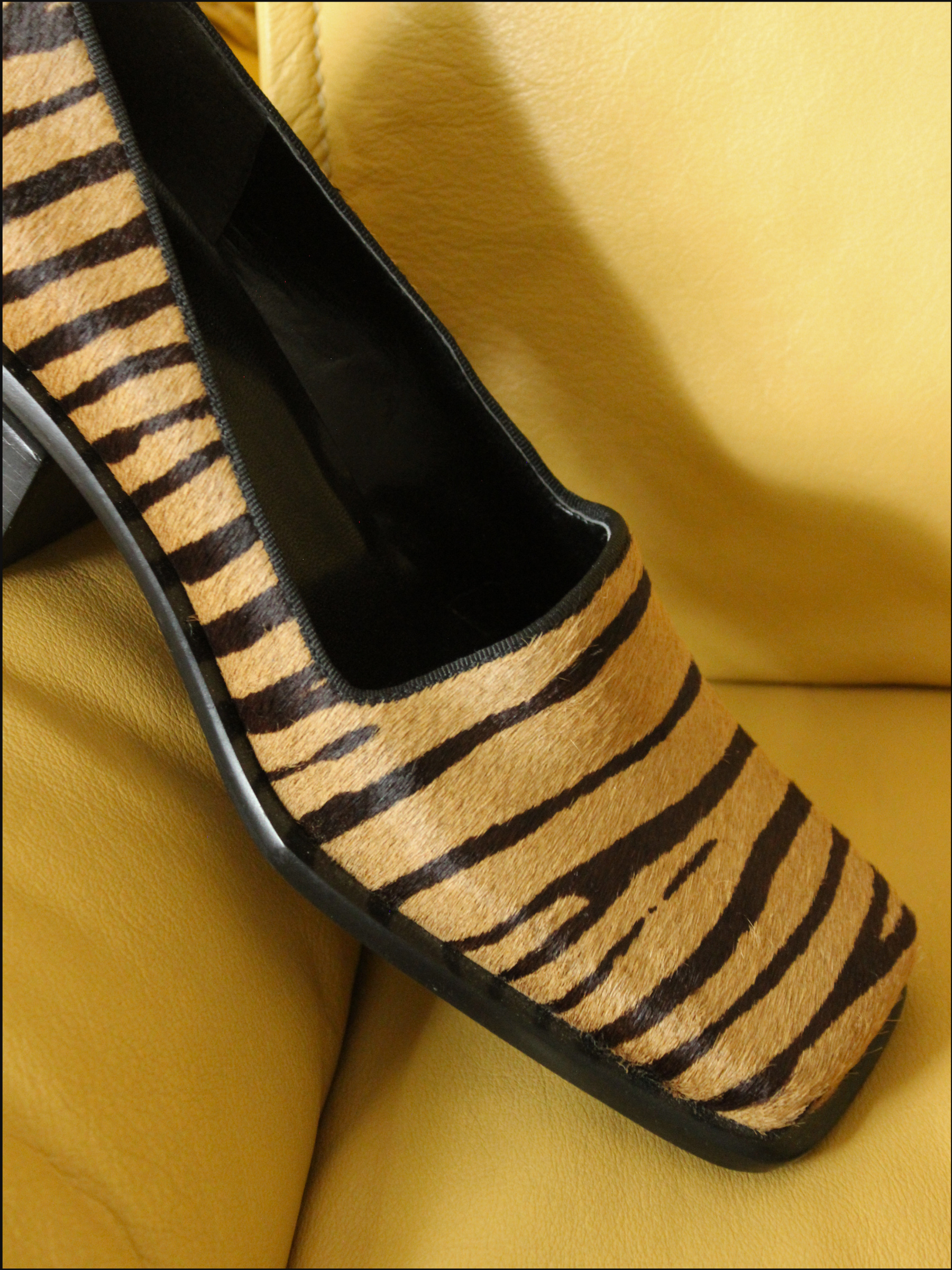 tiger shoes cover (5).png