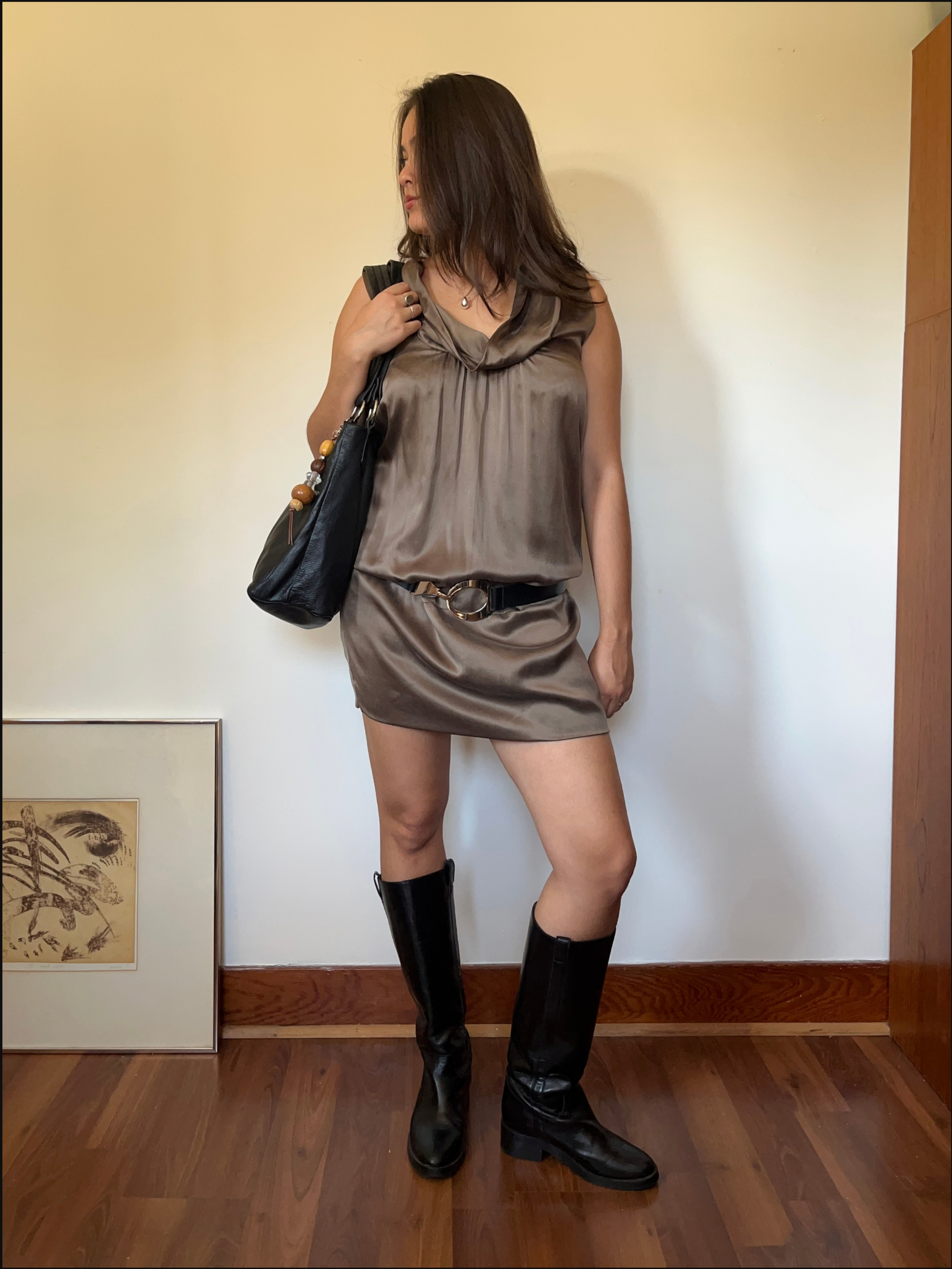 silk dress cover.png