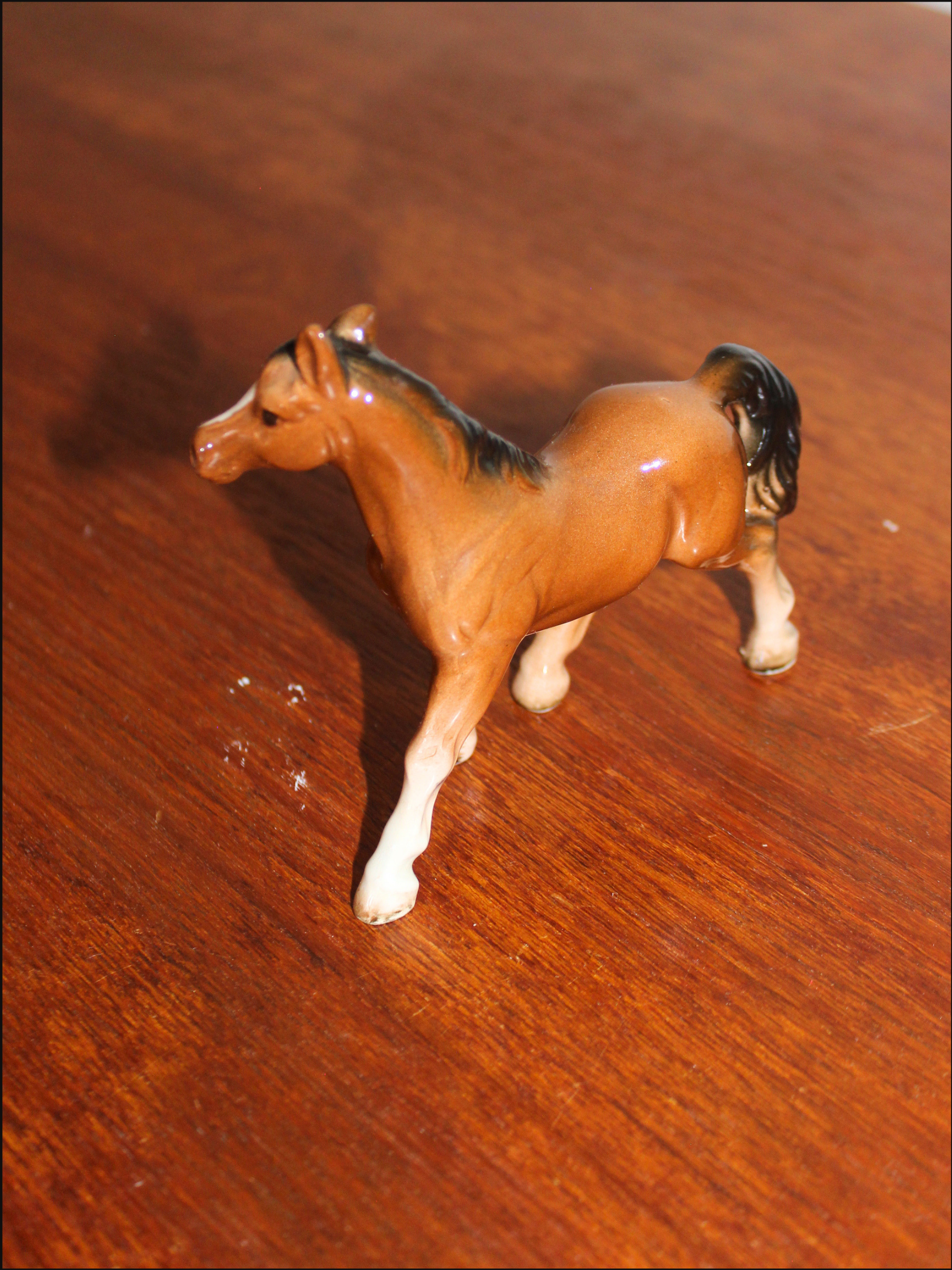 standing horse cover (4).png